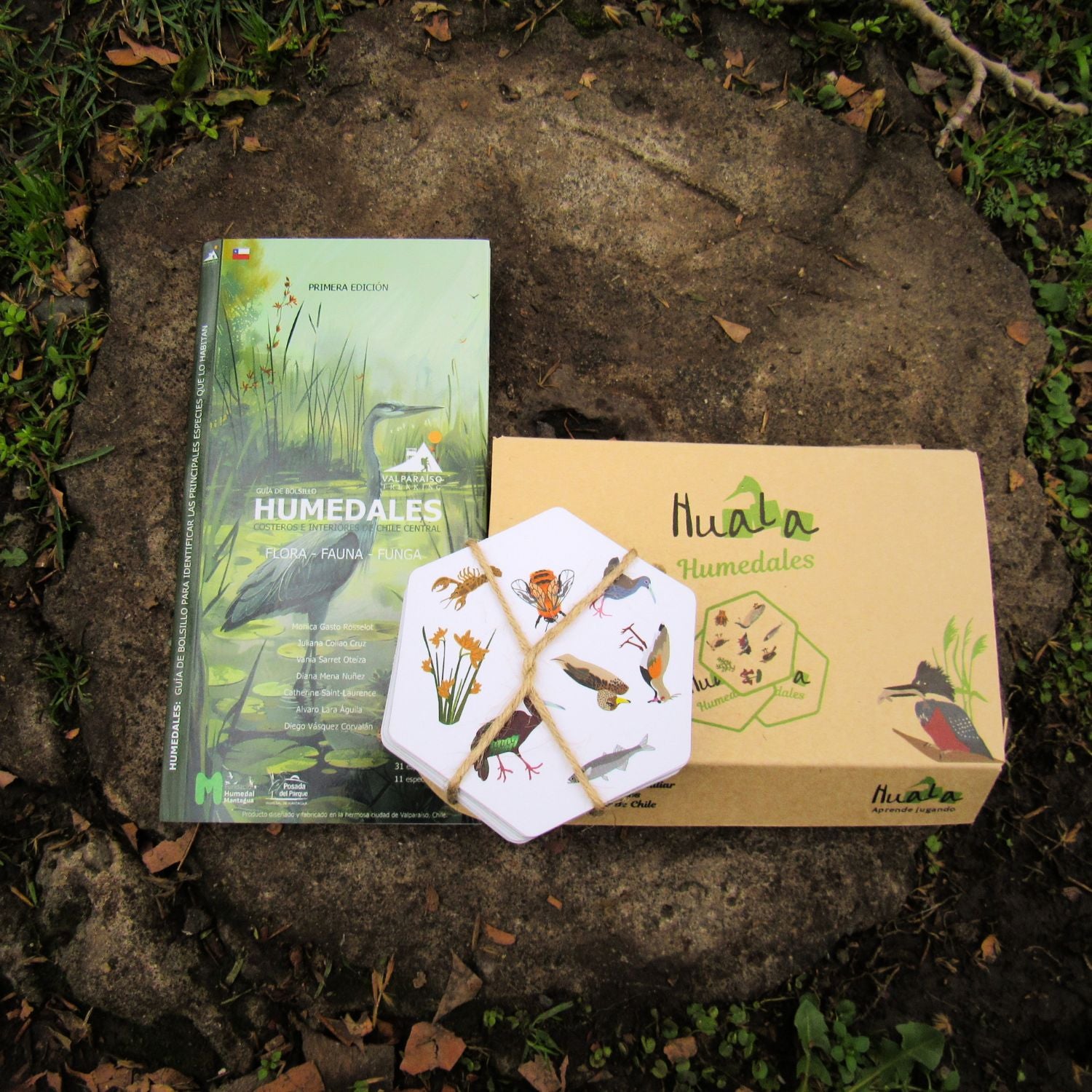 Pack de bolsillo Expedición humedales