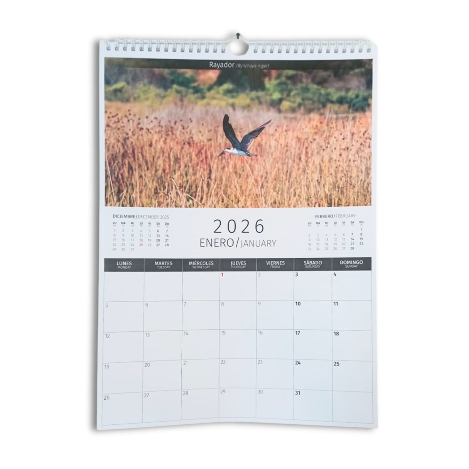 Calendario Mural Aves de Chile 2026