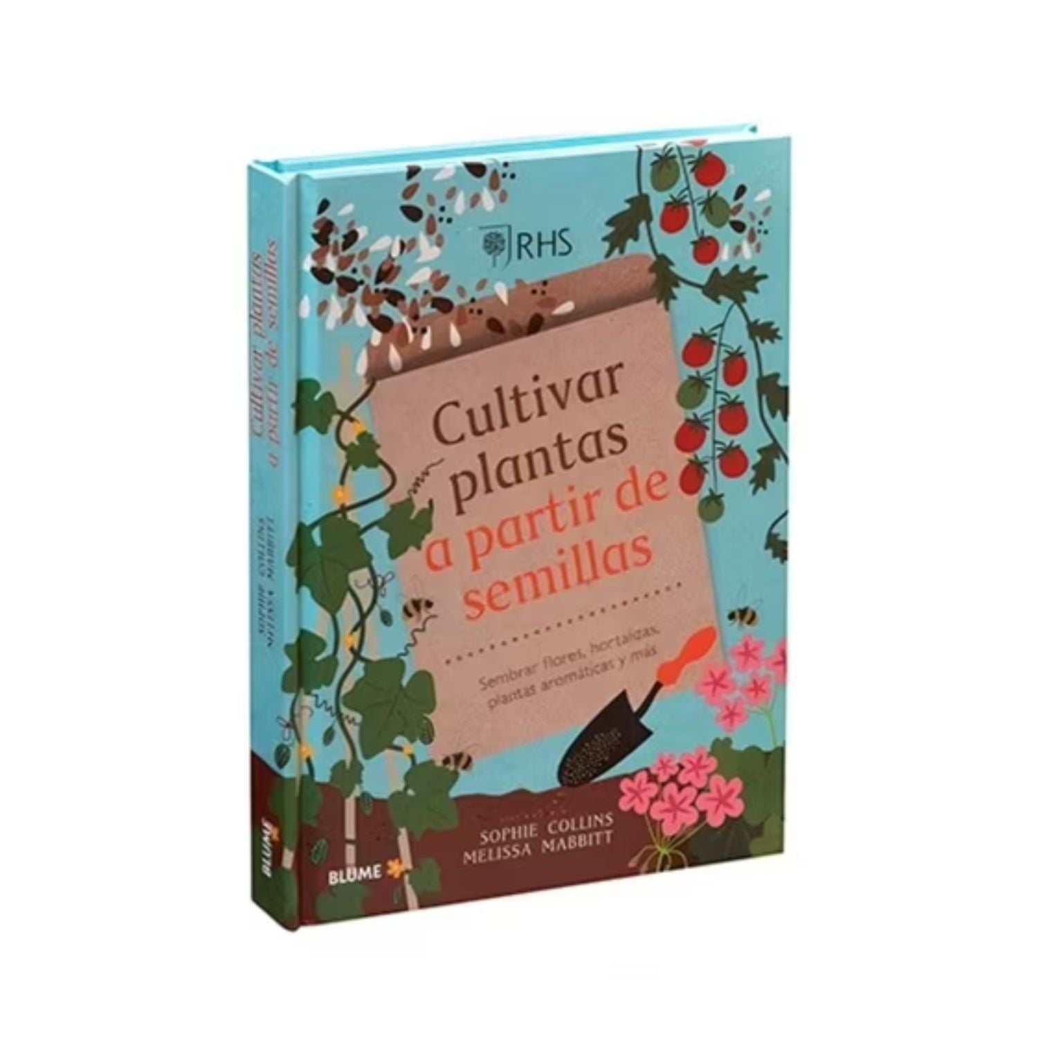 Cultivar plantas a partir de semillas