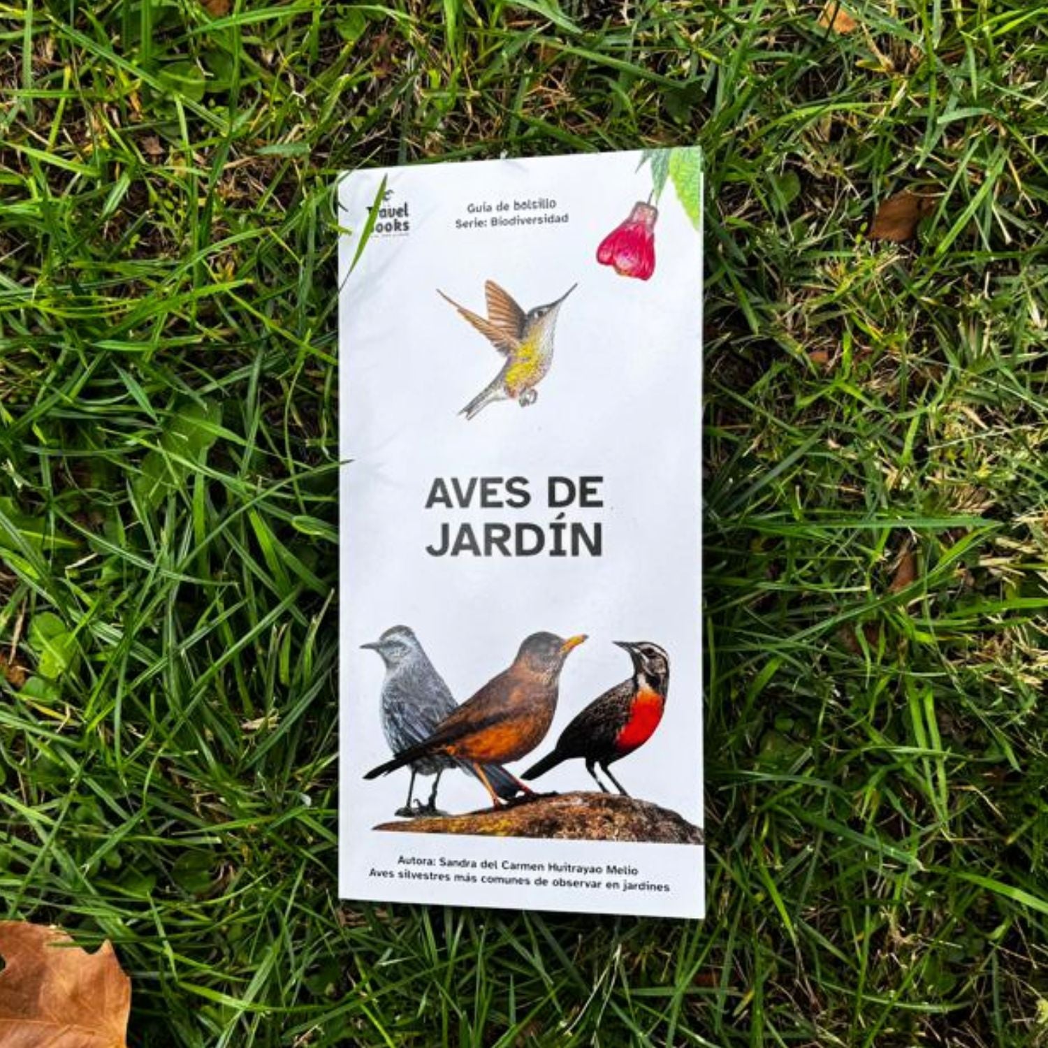Guía de bolsillo - Aves de jardín
