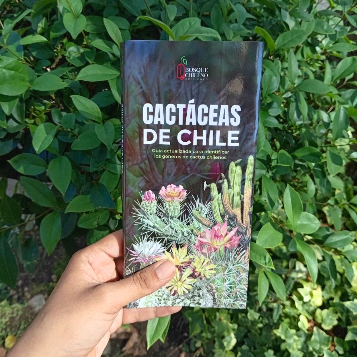 Guía de bolsillo - Cactáceas de Chile