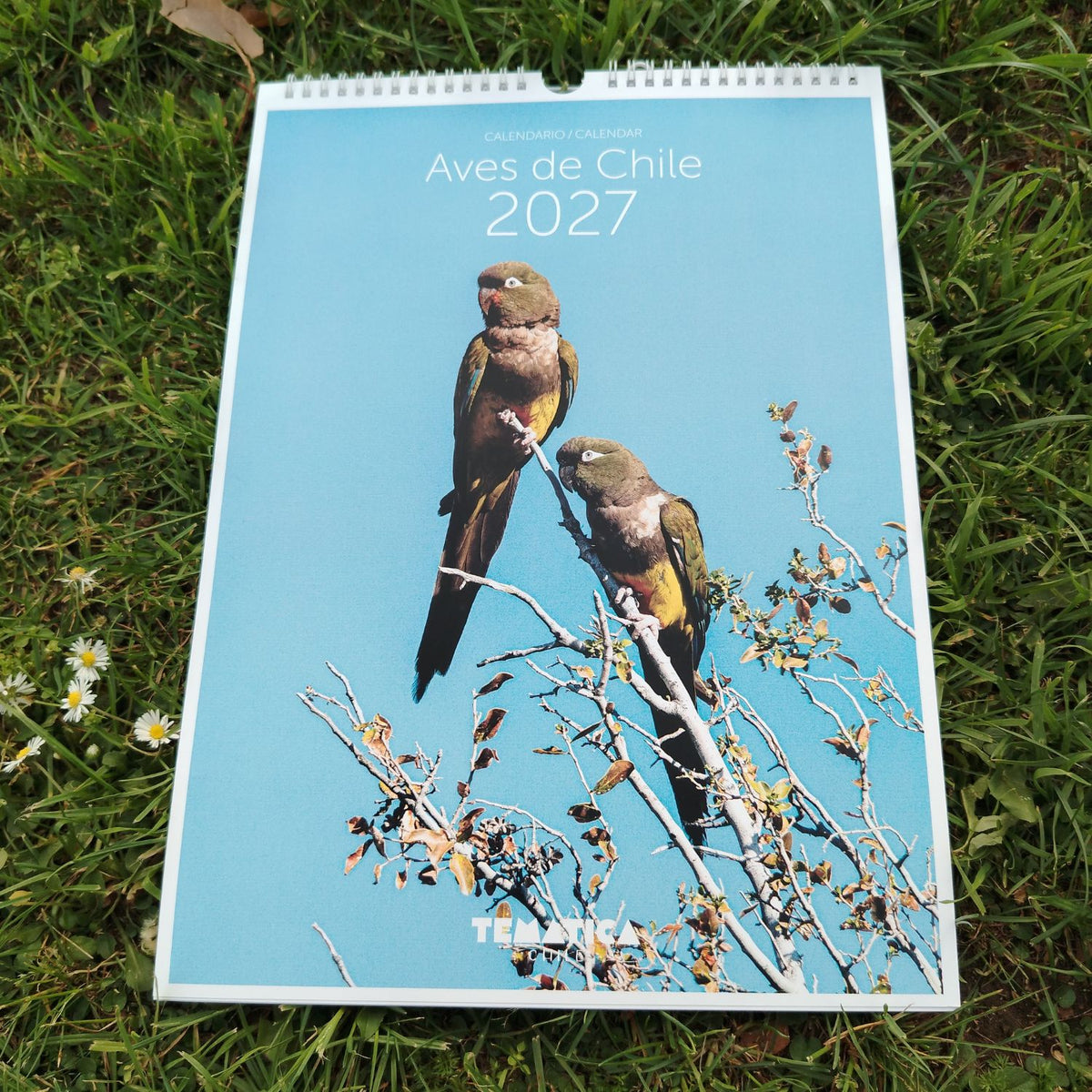 Calendario mural 2027 - Aves de Chile