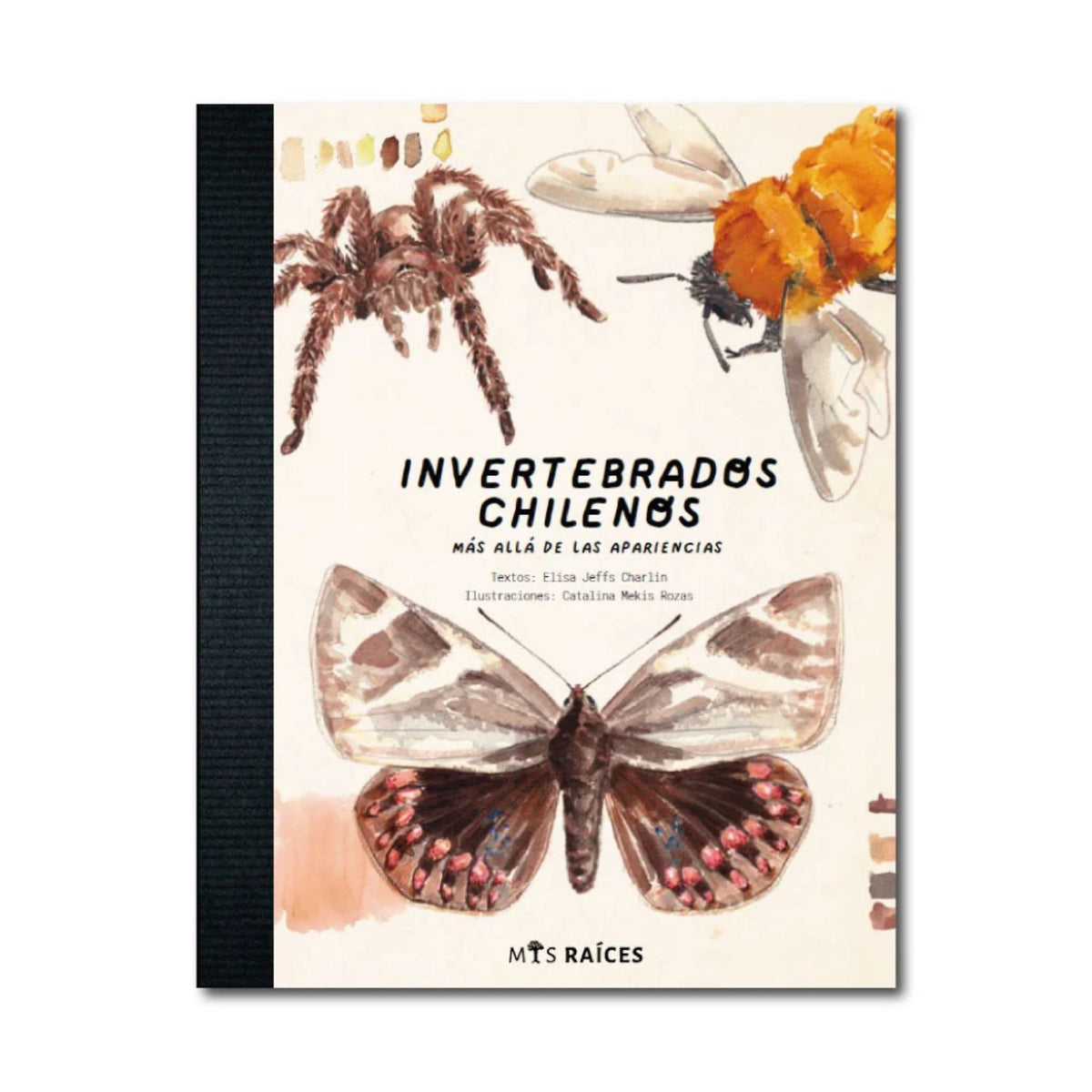 Invertebrados chilenos