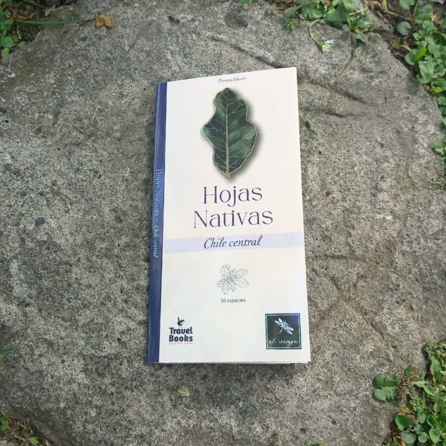 Guía de bolsillo - Hojas nativas Chile central