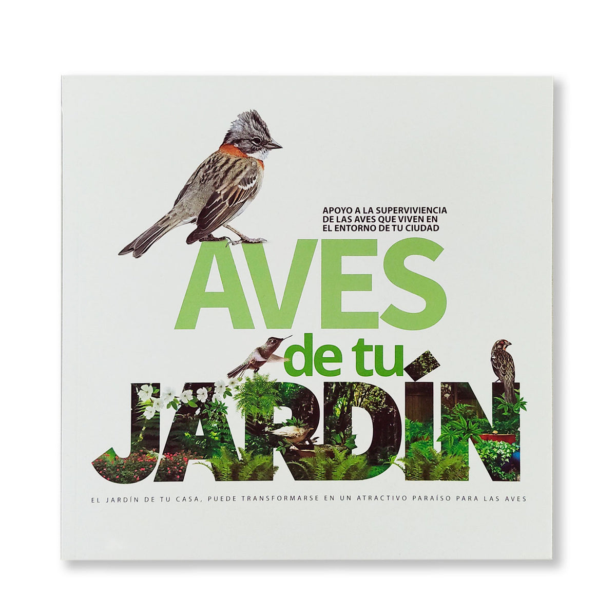 Aves de tu jardín