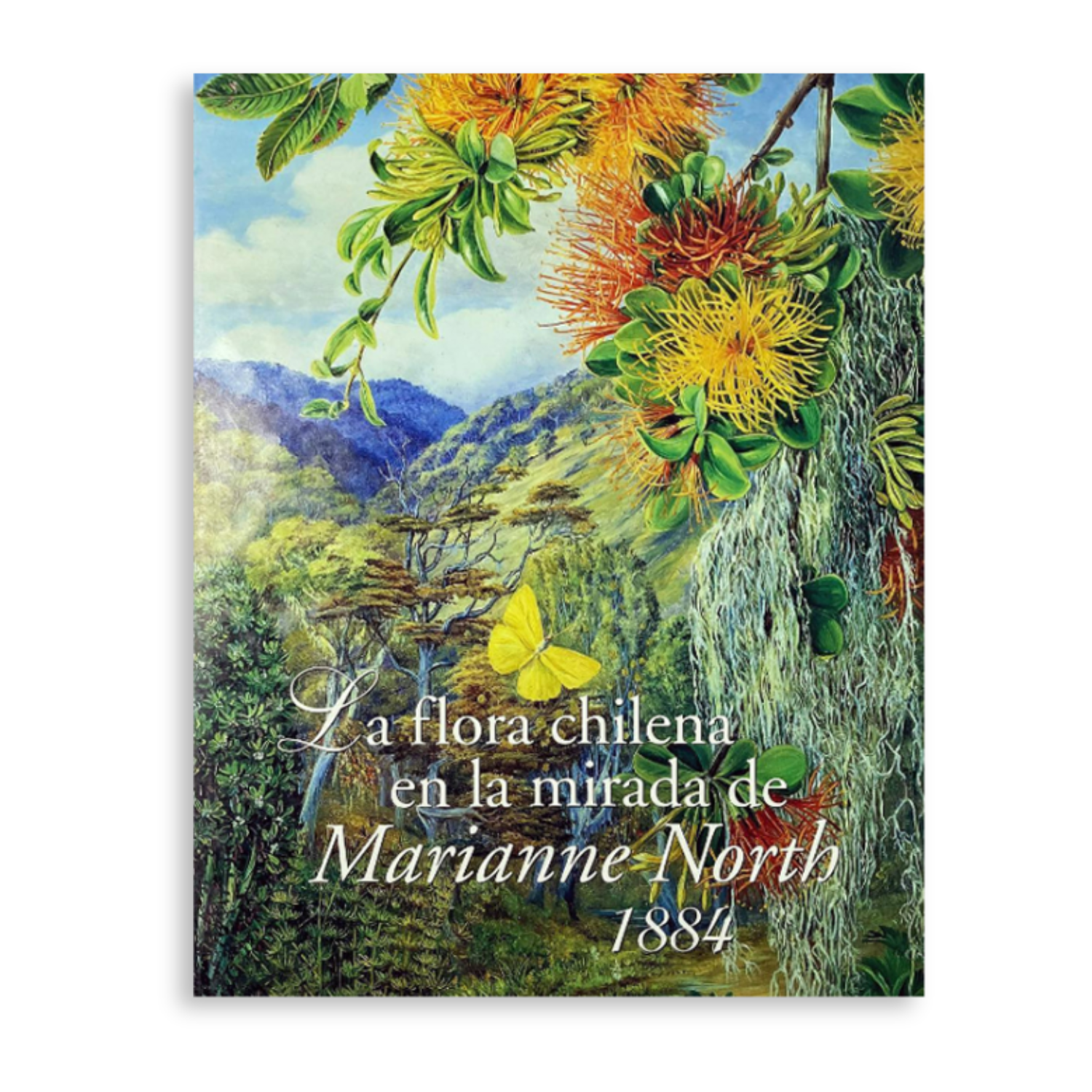 La flora chilena en la mirada de Marianne North