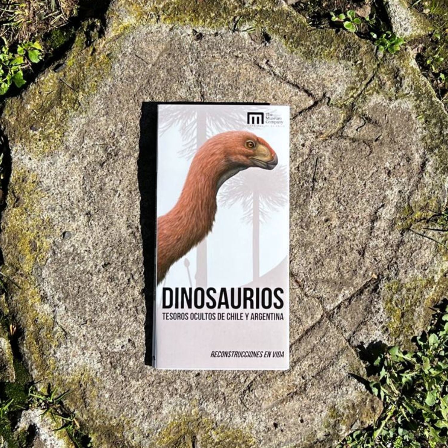 Guia de bolsillo - Dinosaurios: Tesoros Ocultos de Chile y Argentina