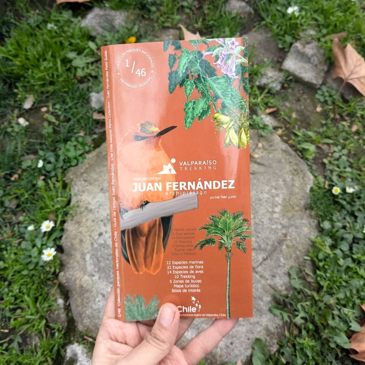 Guía de bolsillo - Archipiélago Juan Fernández