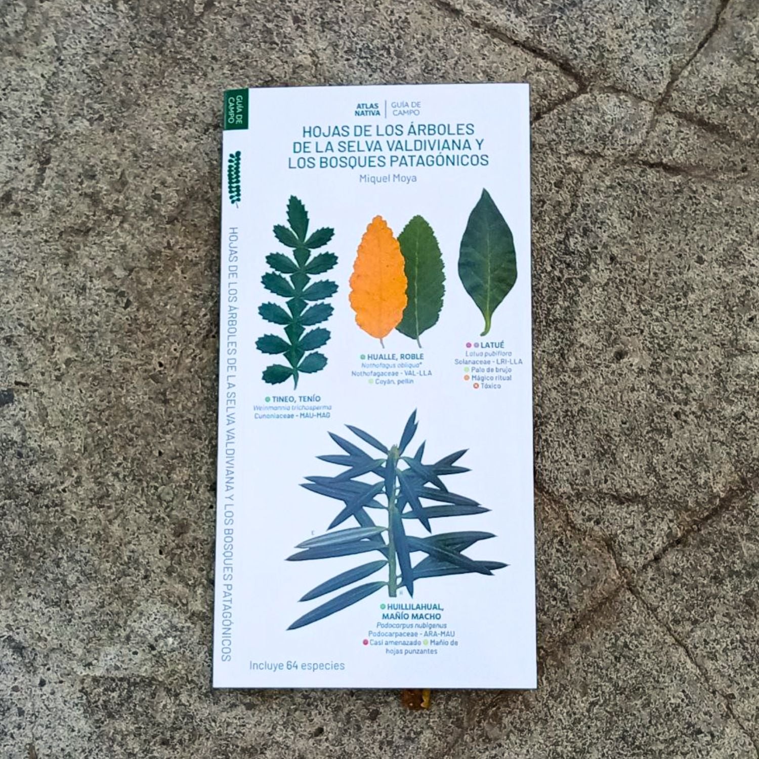 Guía de bolsillo - Hojas de los árboles de la selva valdiviana y los bosques patagónicos