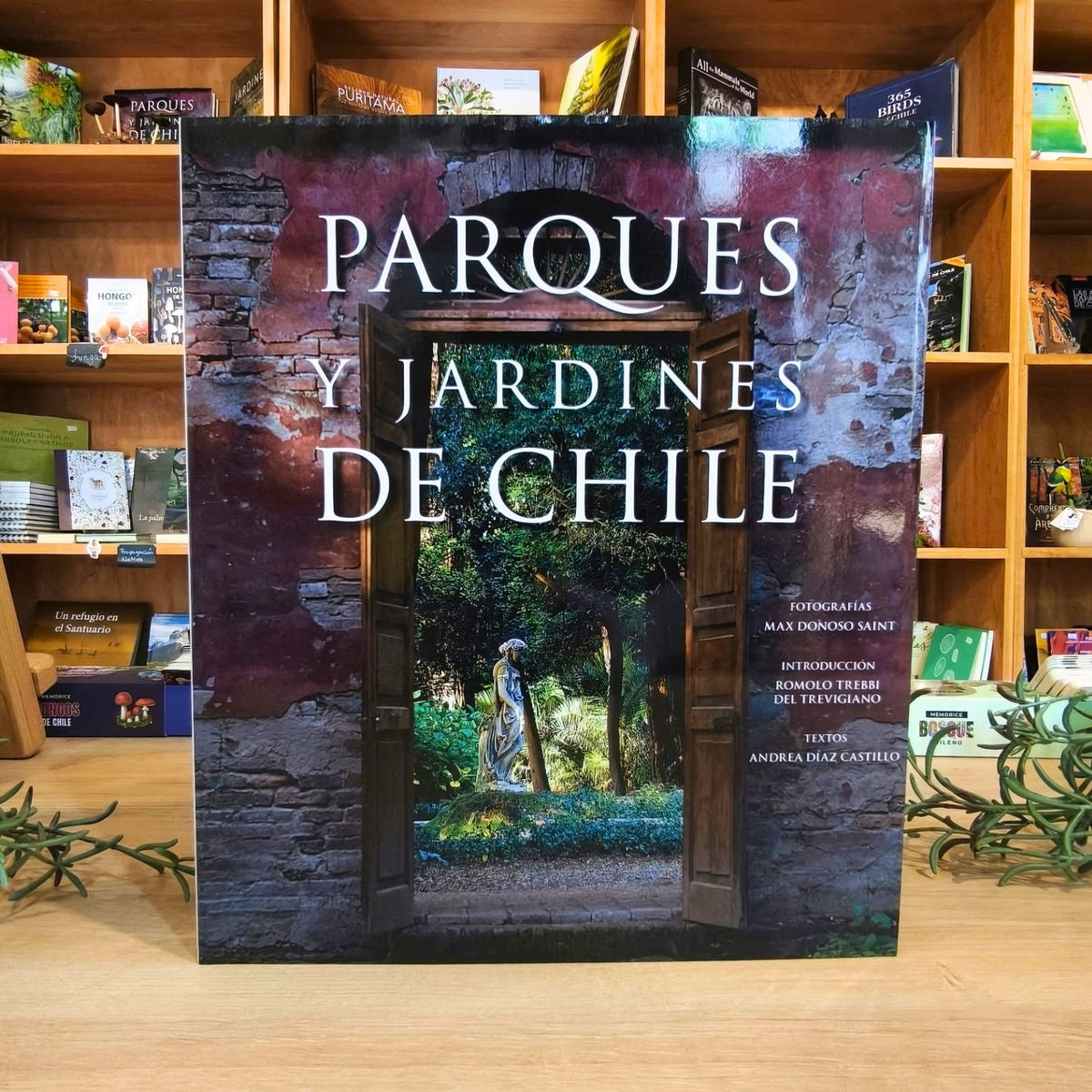 Parques y Jardines de Chile