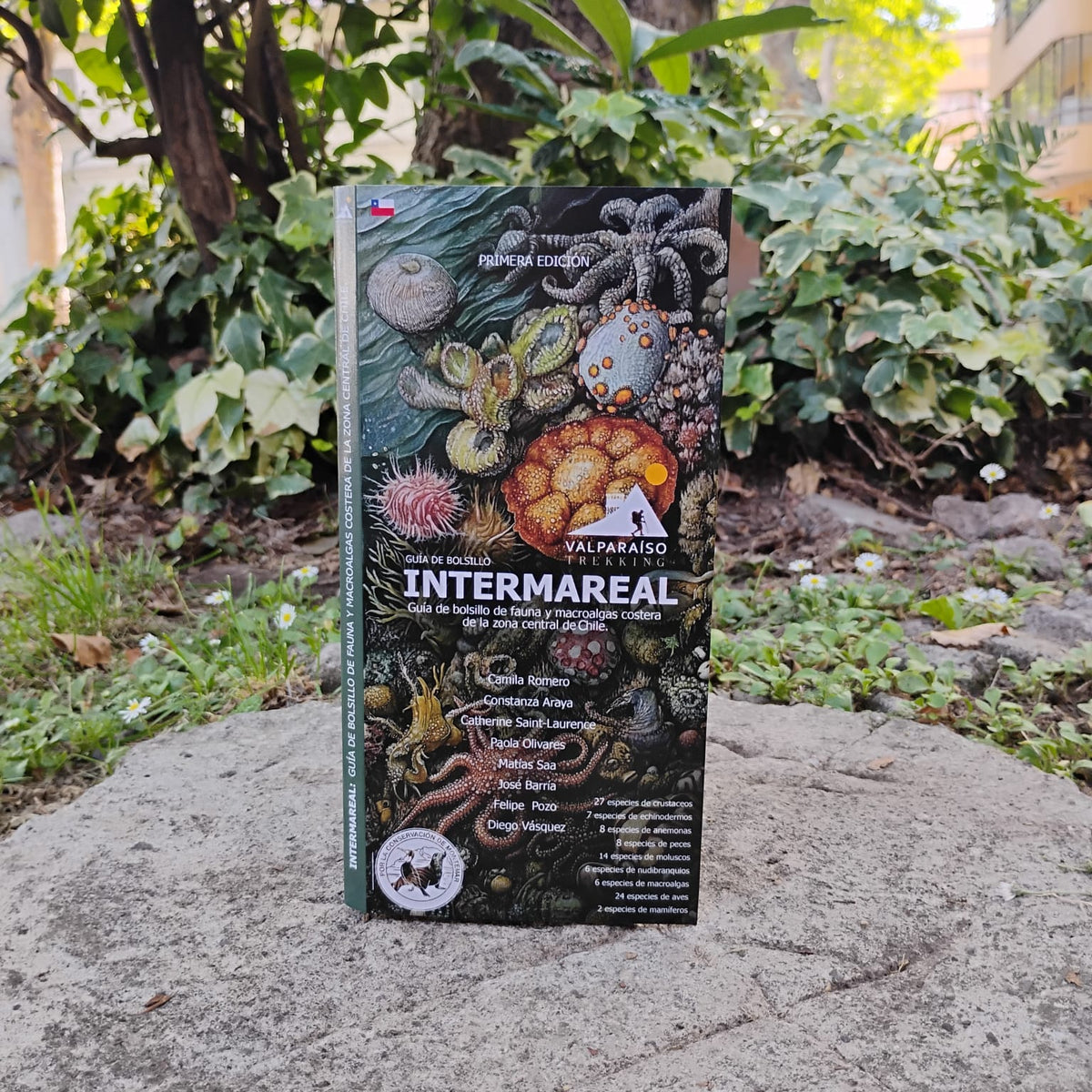 Guia de bolsillo - Intermareal