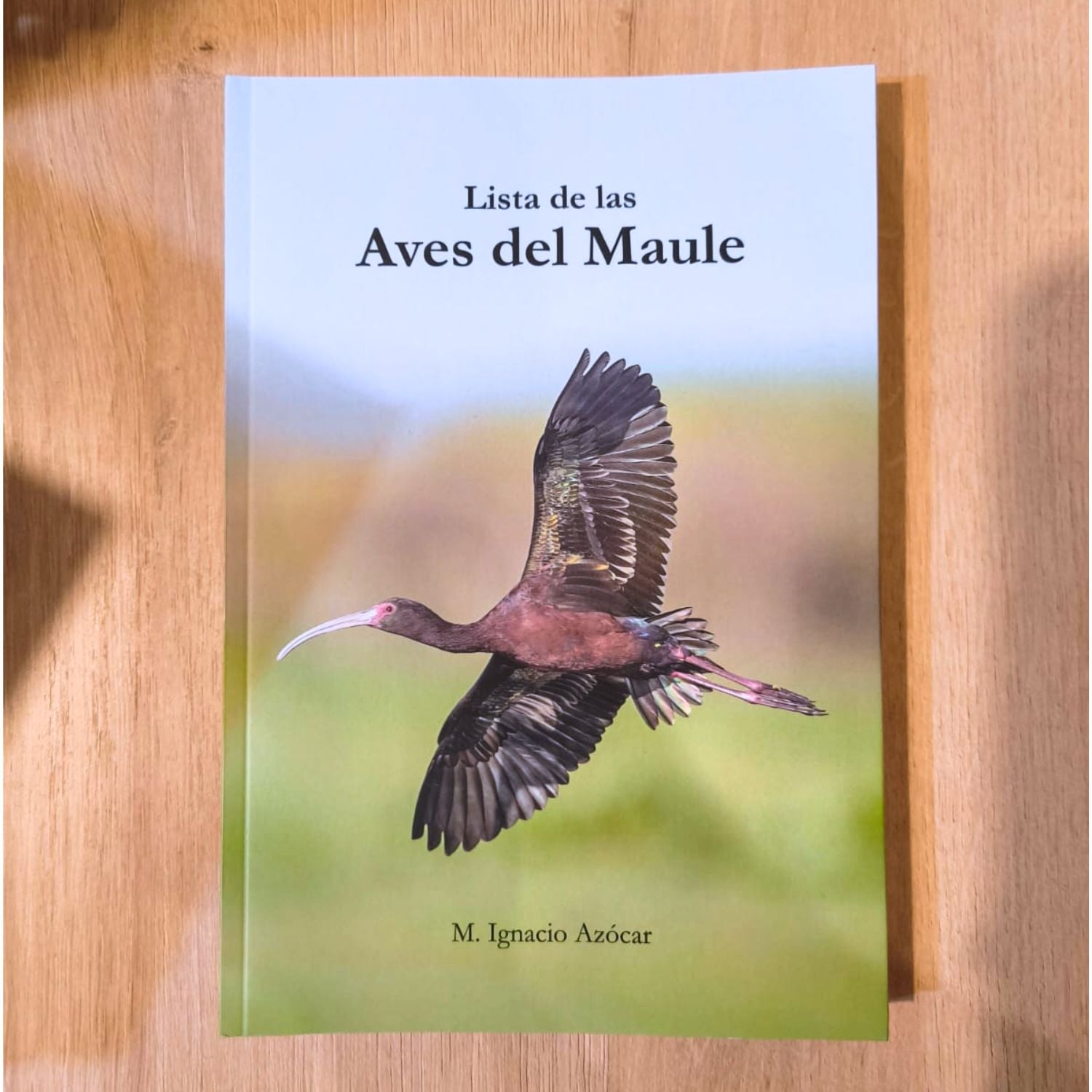 Lista de las Aves del Maule