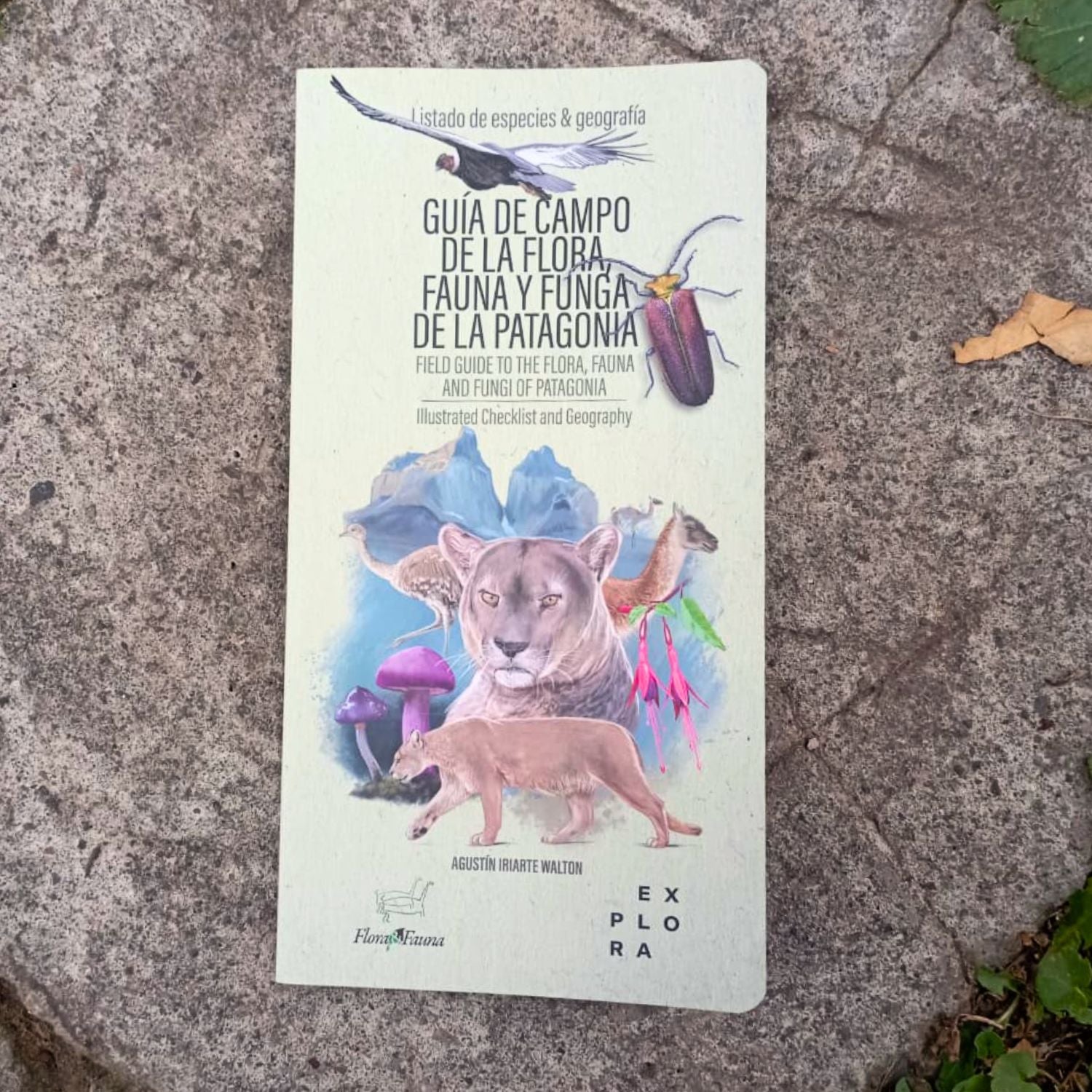 Guía de Campo de la flora, fauna y funga de la Patagonia