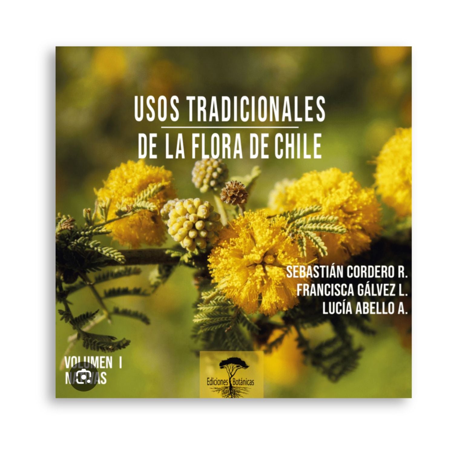 Usos tradicionales de la flora de Chile