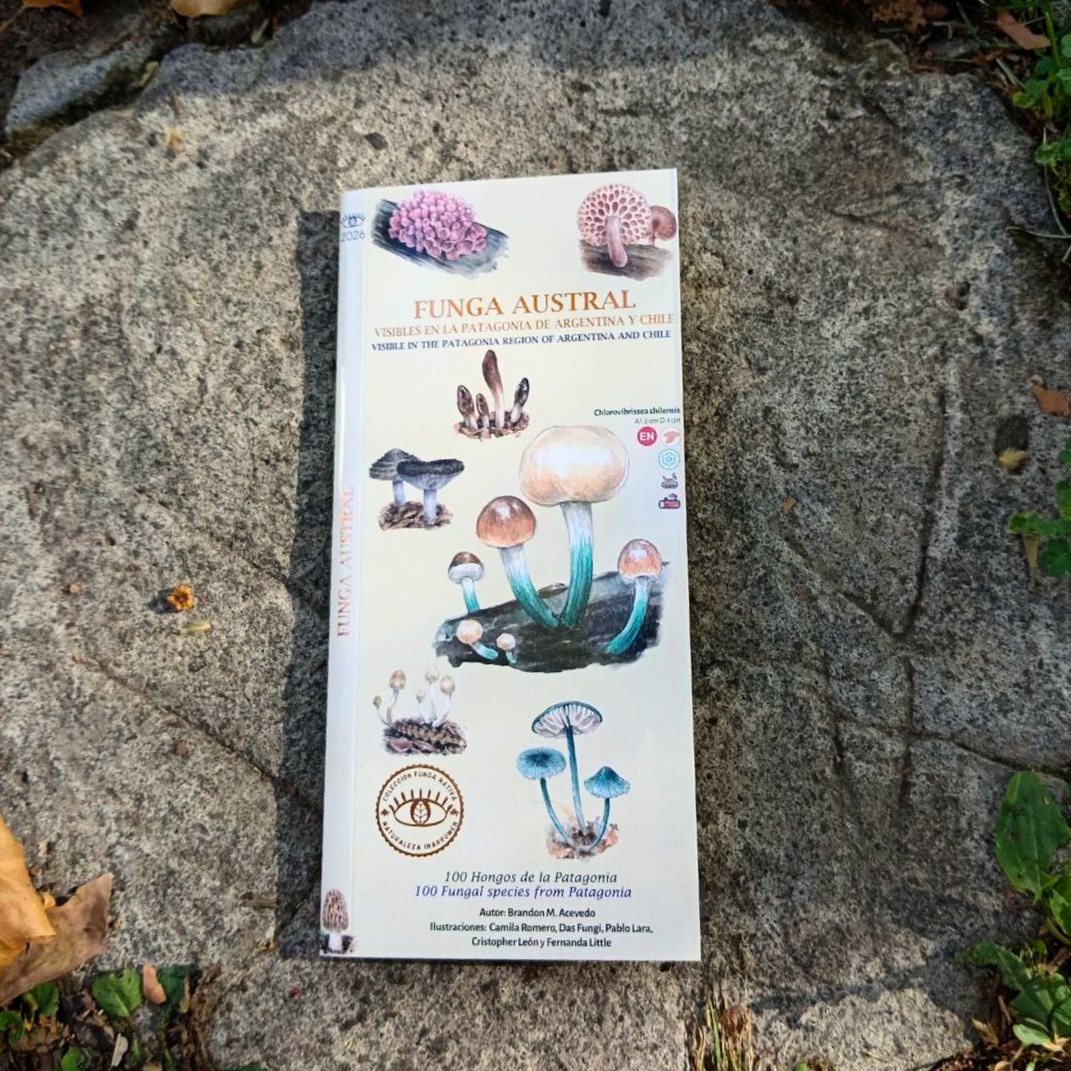 Funga Austral - Guia de reconocimiento de hongos de chile