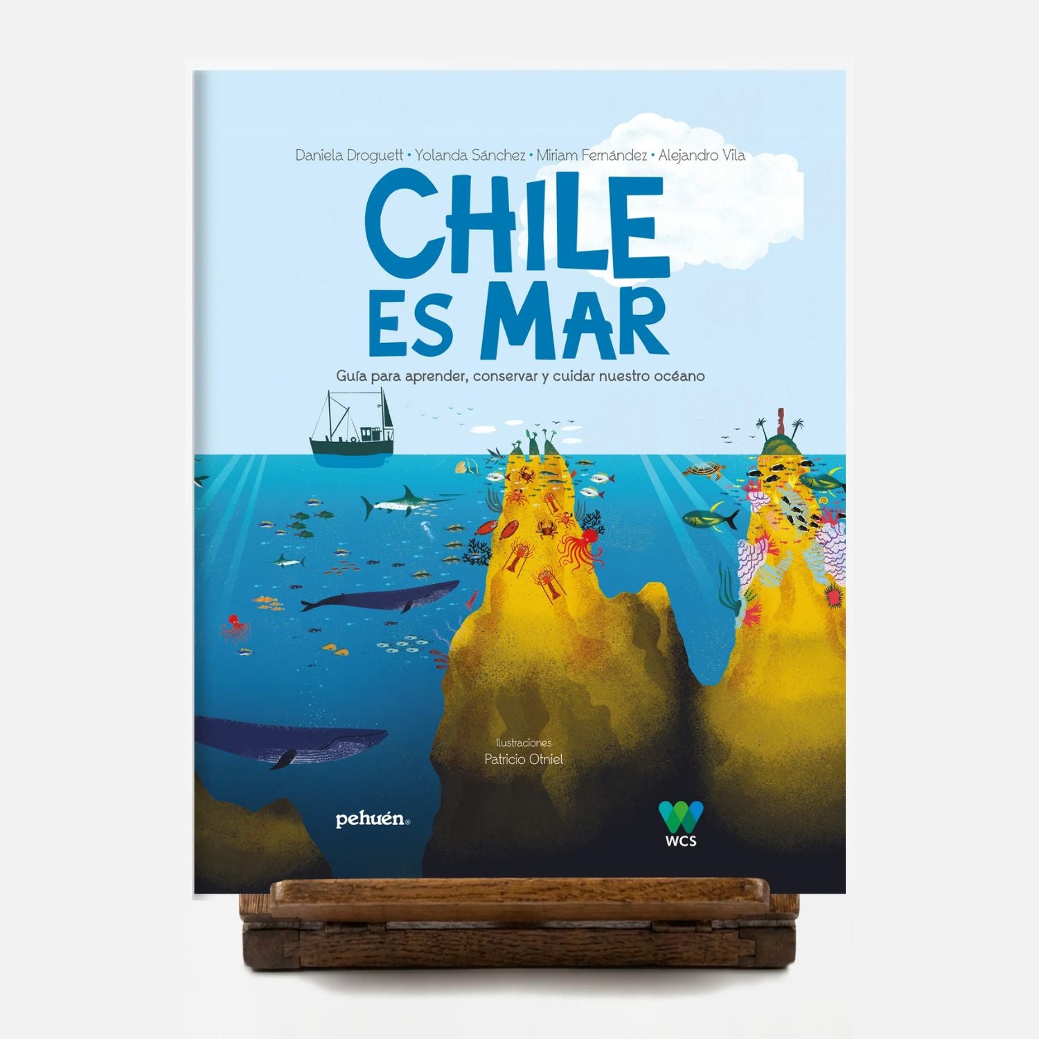 Chile es mar