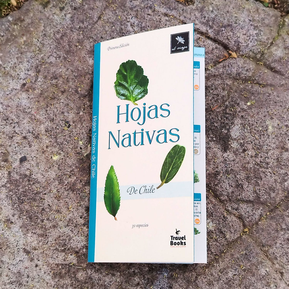 Guía de bolsillo - Hojas nativas de Chile