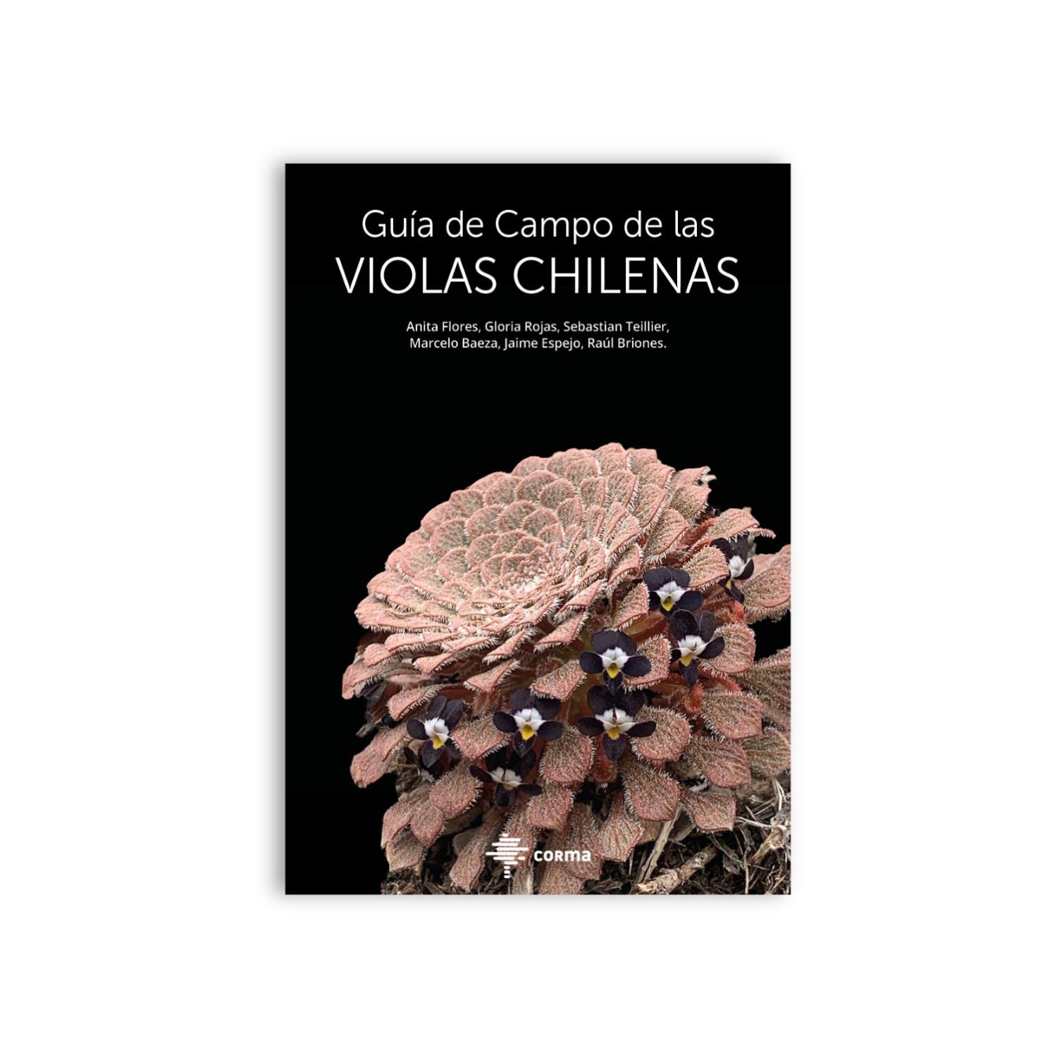 Guía de campo de las violas chilenas