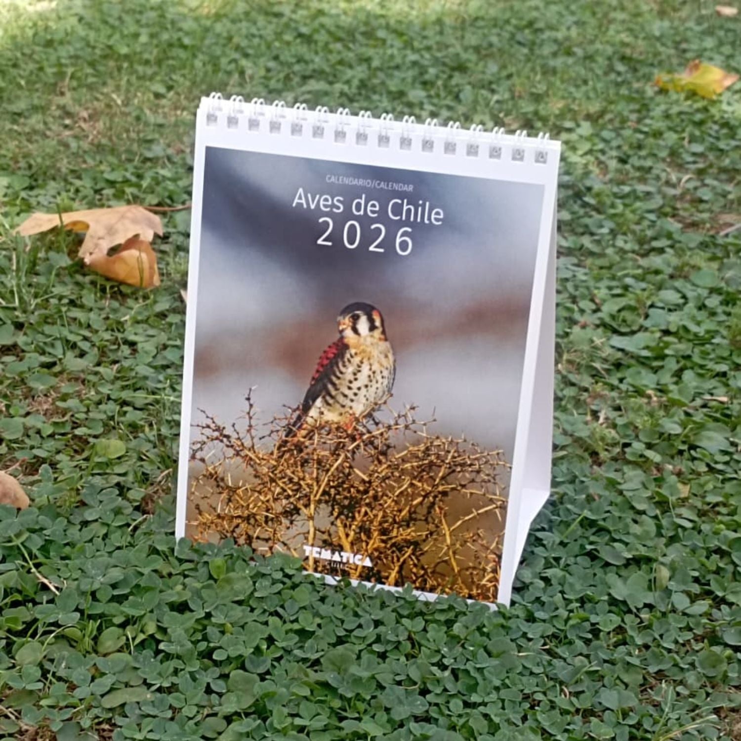 Calendario de escritorio Aves de Chile 2026