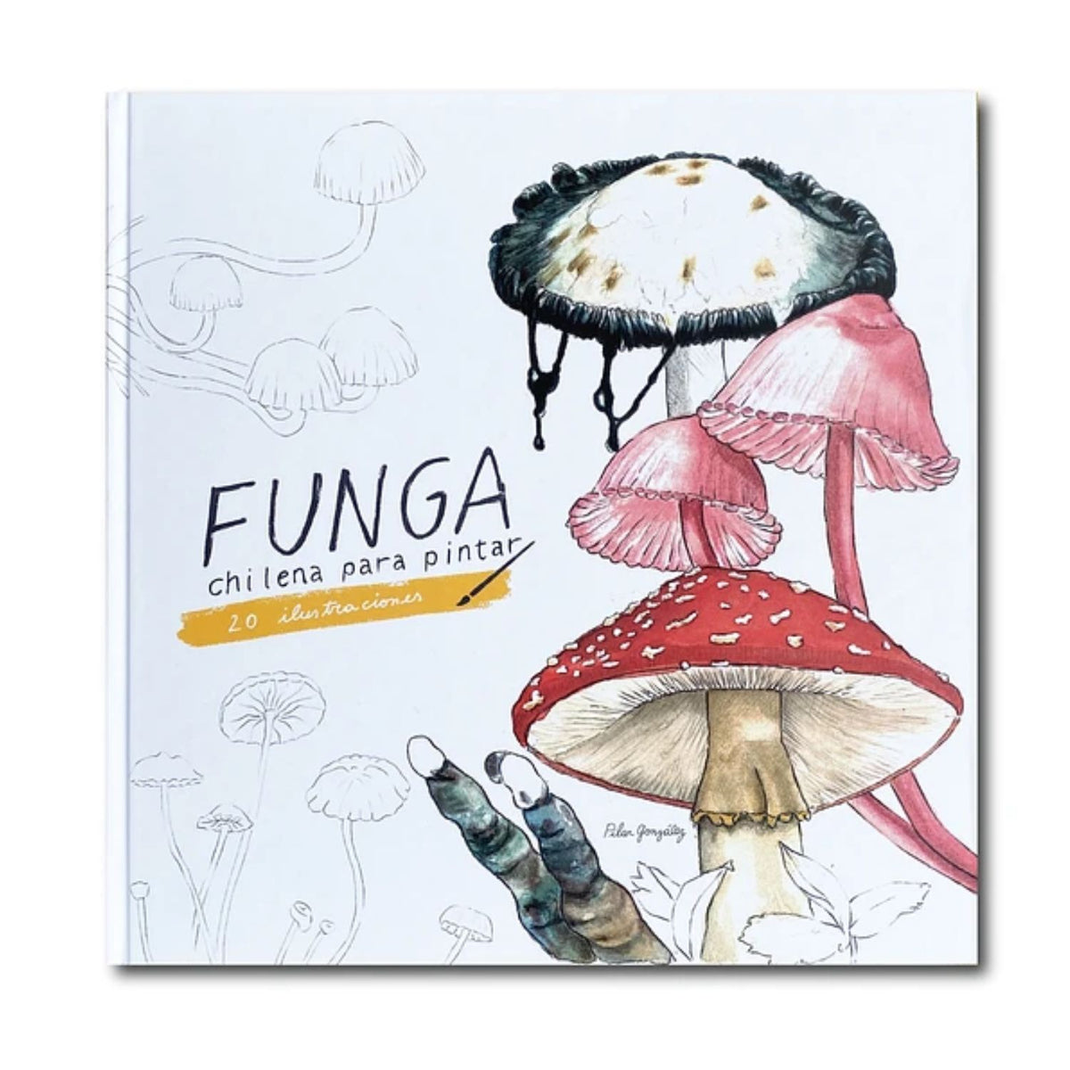 Funga Chilena para pintar