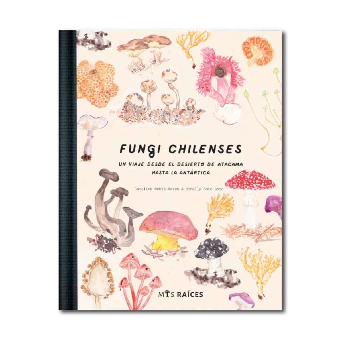 Fungi chilenses