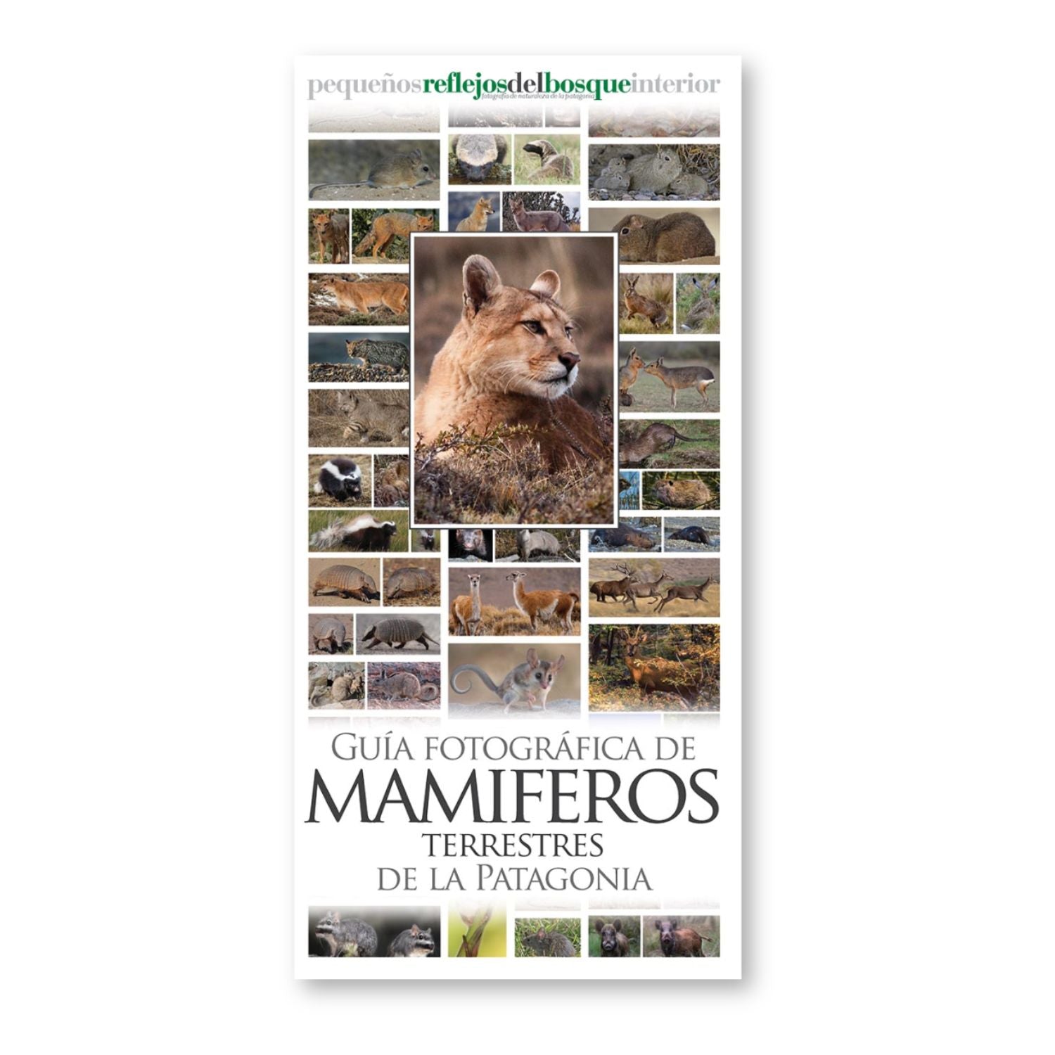 Guía fotográfica de mamíferos terrestres de la Patagonia
