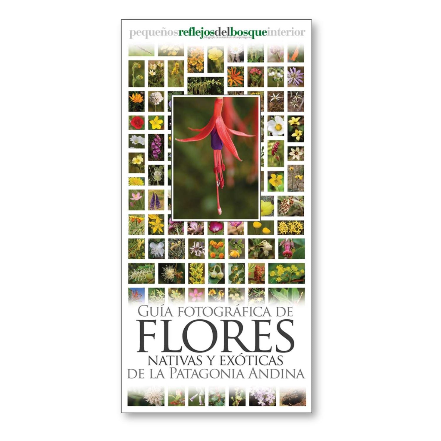 Guía fotográfica de flores nativas y exóticas de la Patagonia Andina