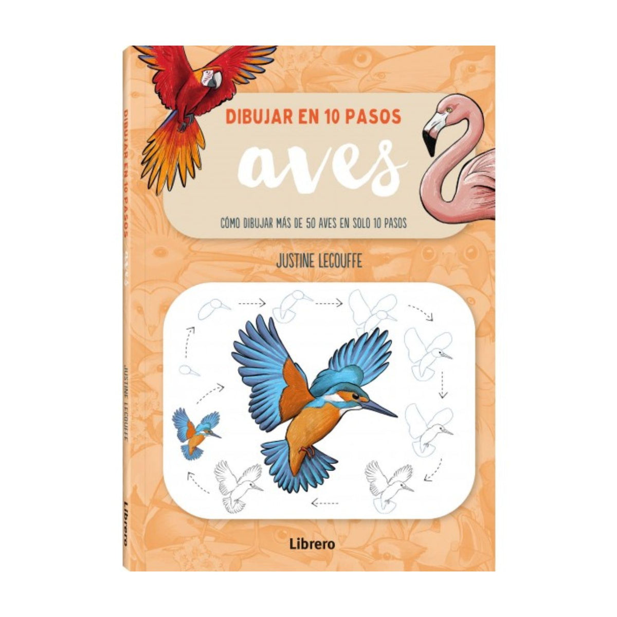 Dibujar en 10 pasos aves