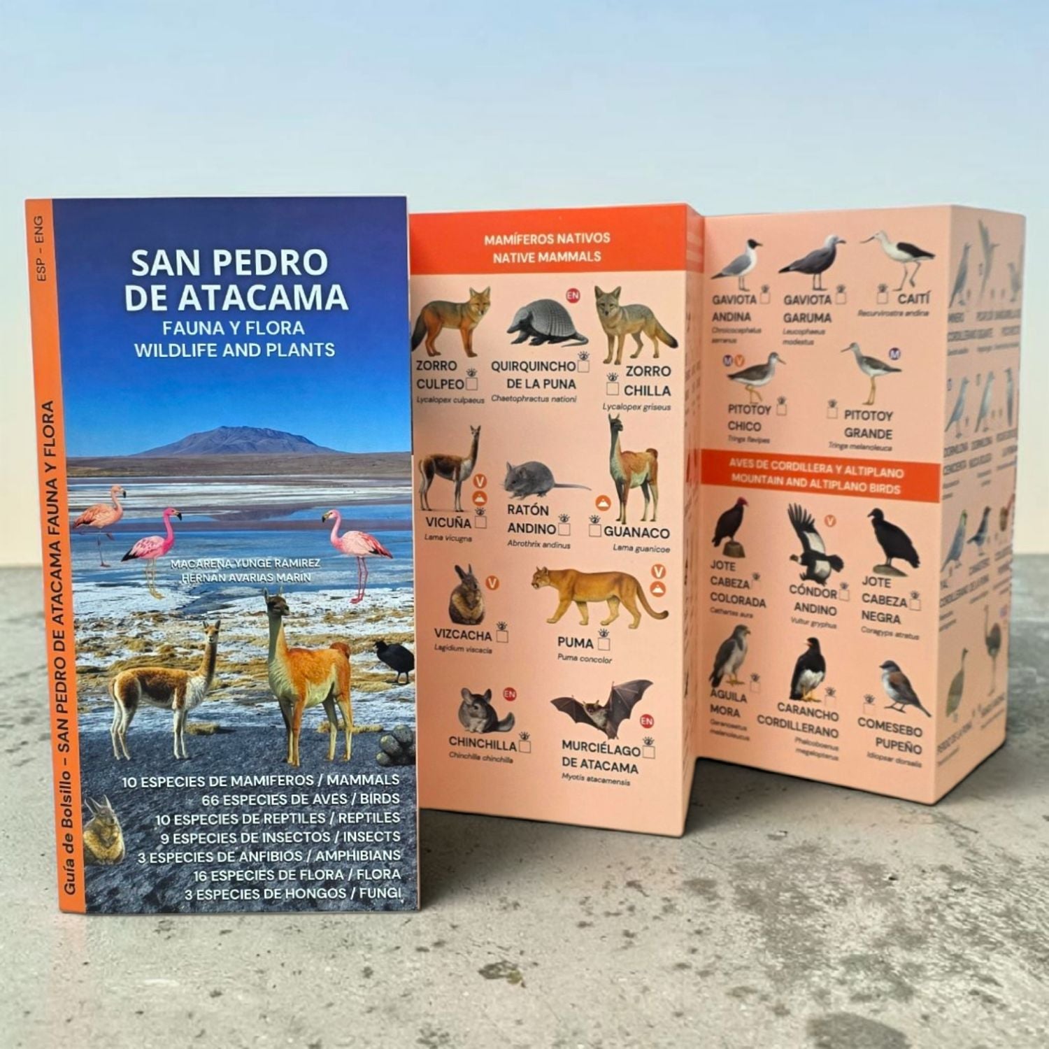 Guía de bolsillo - San Pedro de Atacama