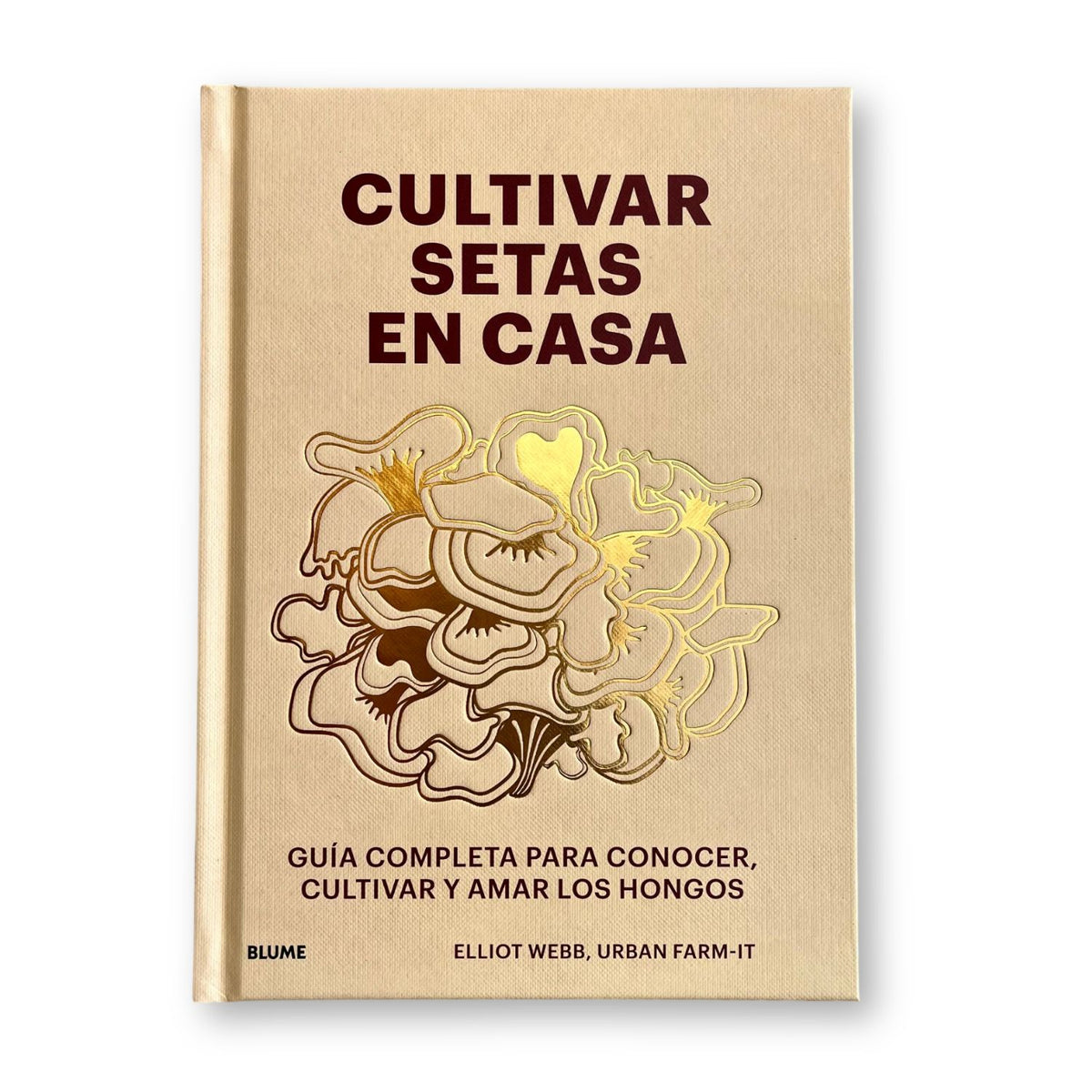 Cultivar setas en casa