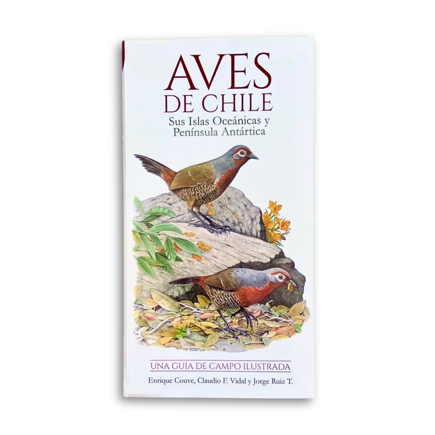 Aves de Chile, Sus Islas Oceánicas y Península Antártica