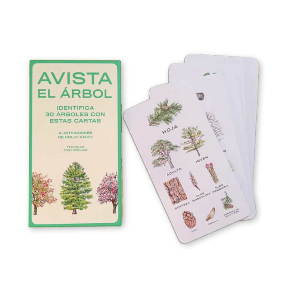 Avista el árbol