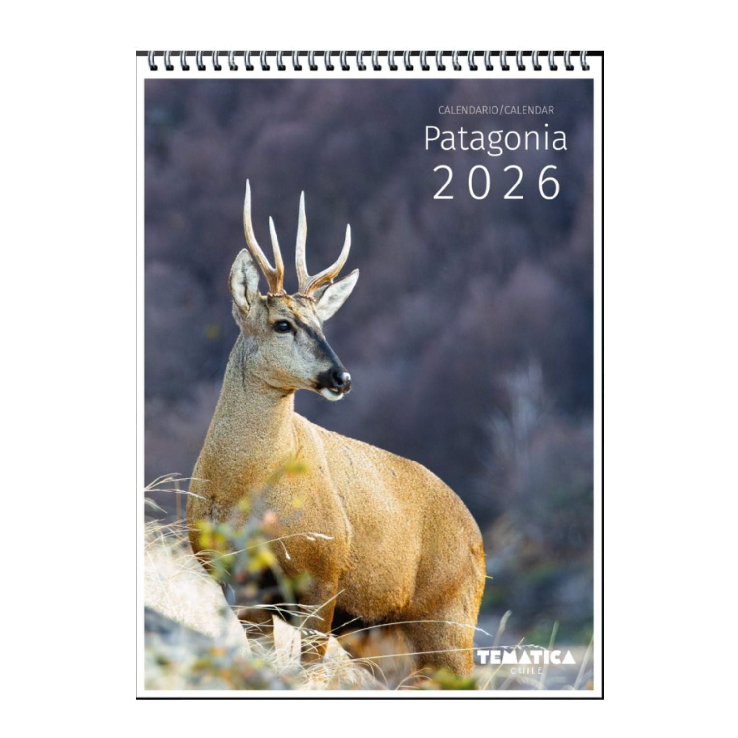 Calendario Mural Patagonia Chile 2026