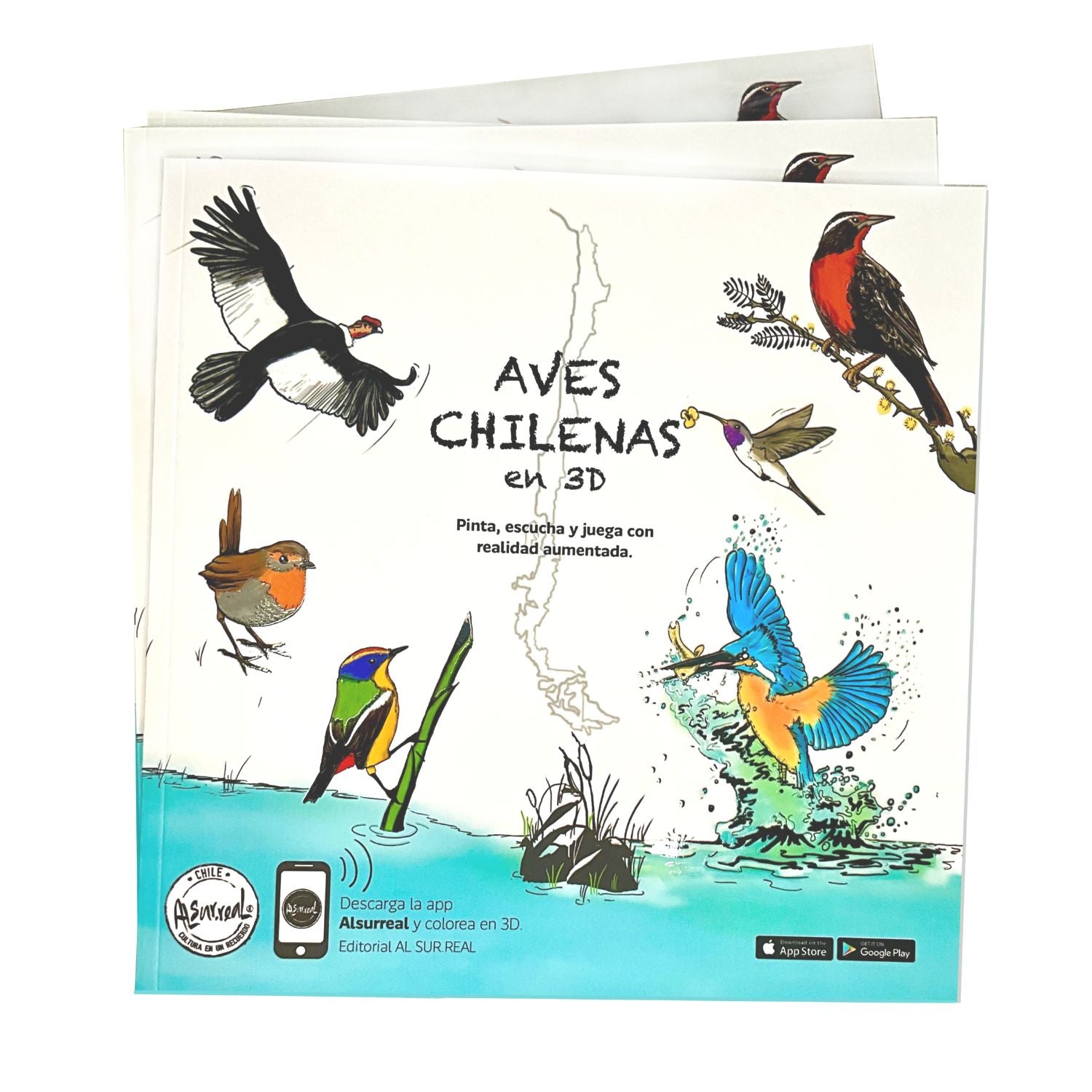 Aves chilenas en 3D