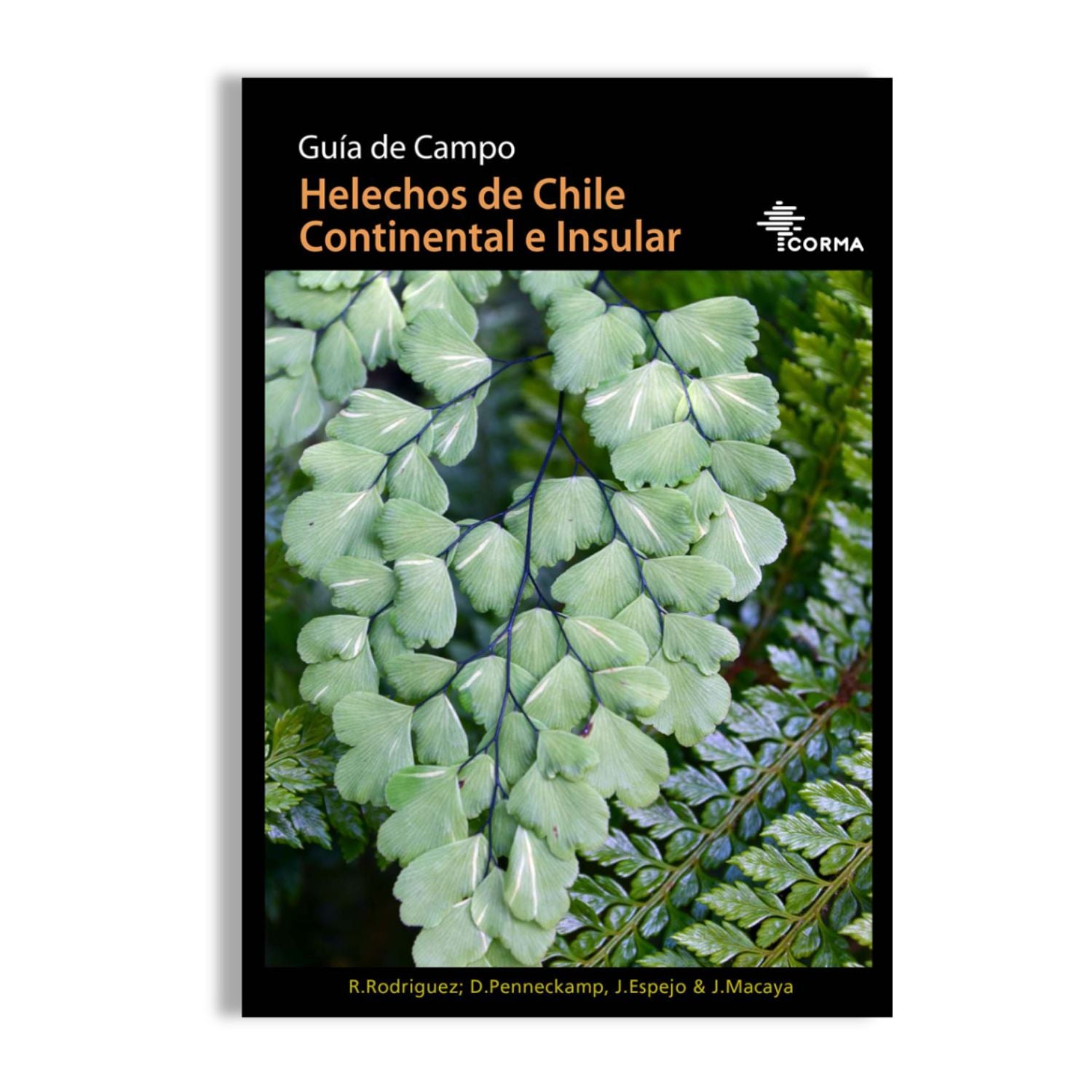 Helechos de Chile continental e insular