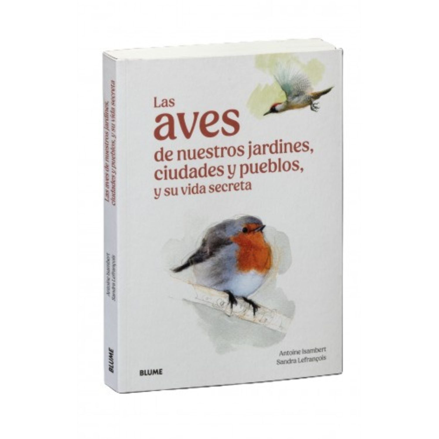 Aves de Nuestros Jardines, Ciudades y Pueblos