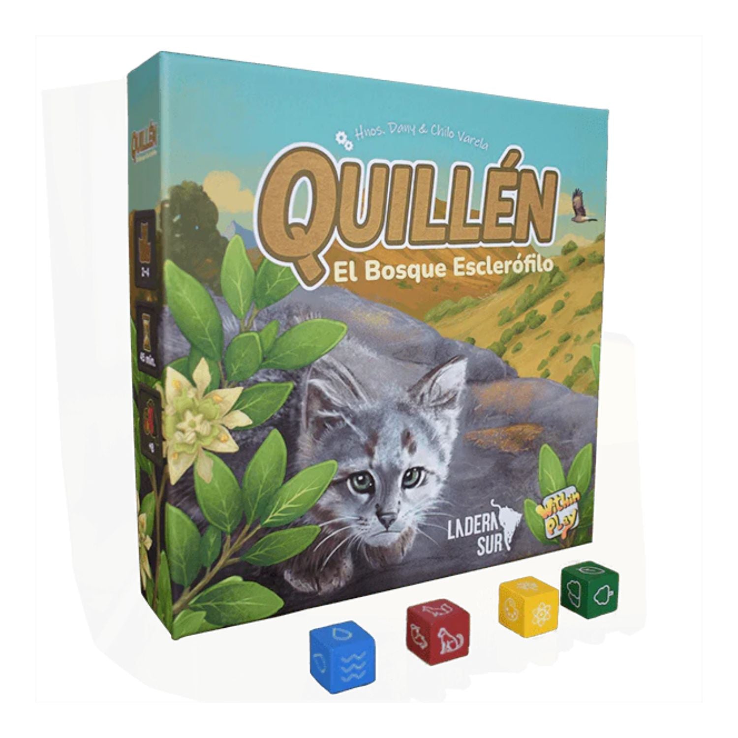 Quillén: El bosque esclerófilo