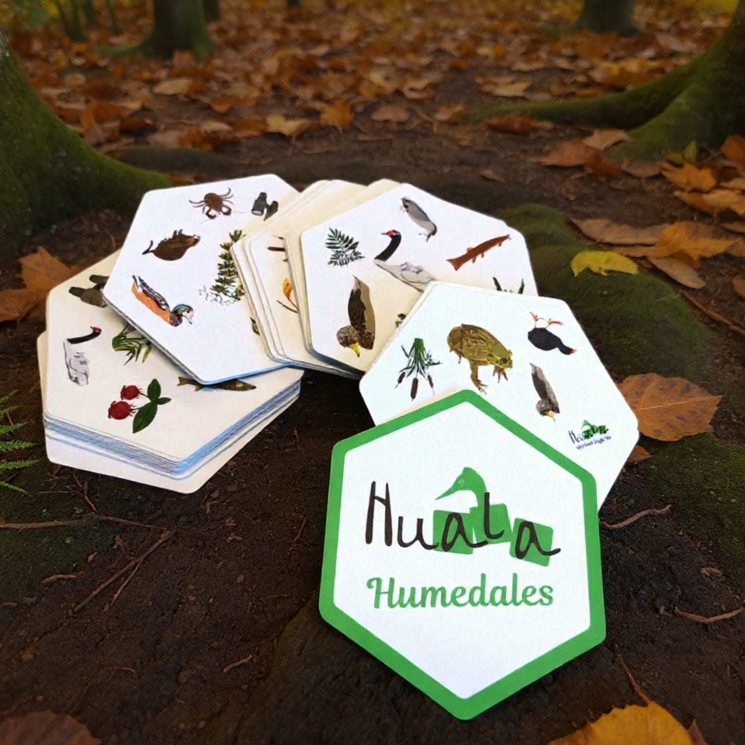 Juego de Mesa Huala Humedales