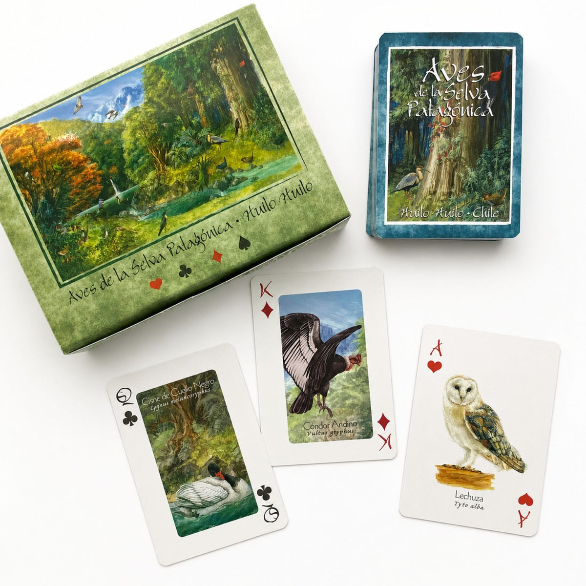 Juego de naipes: Aves de la Selva Patagónica