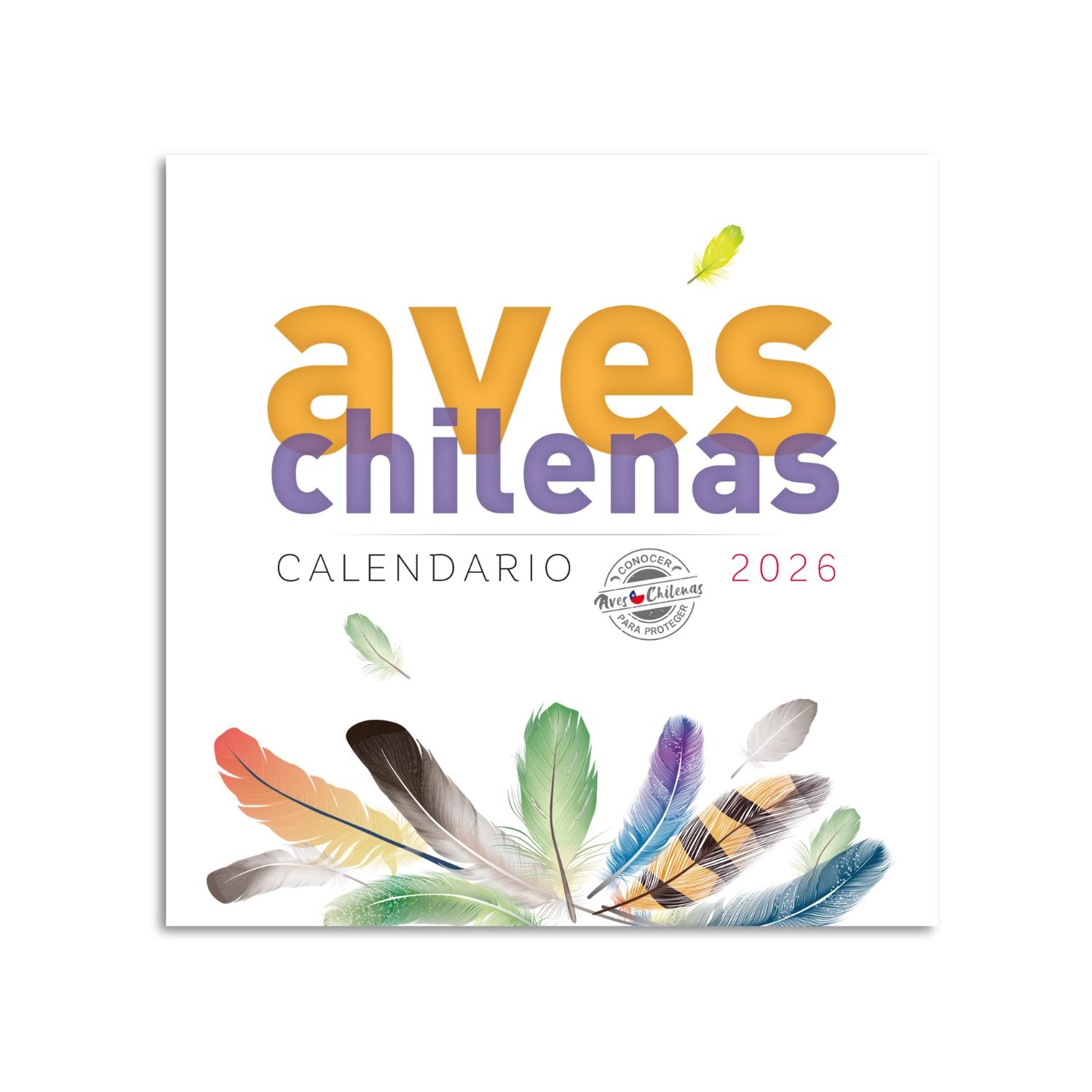 Calendario de escritorio Aves chilenas 2026 - Pablo Maldonado