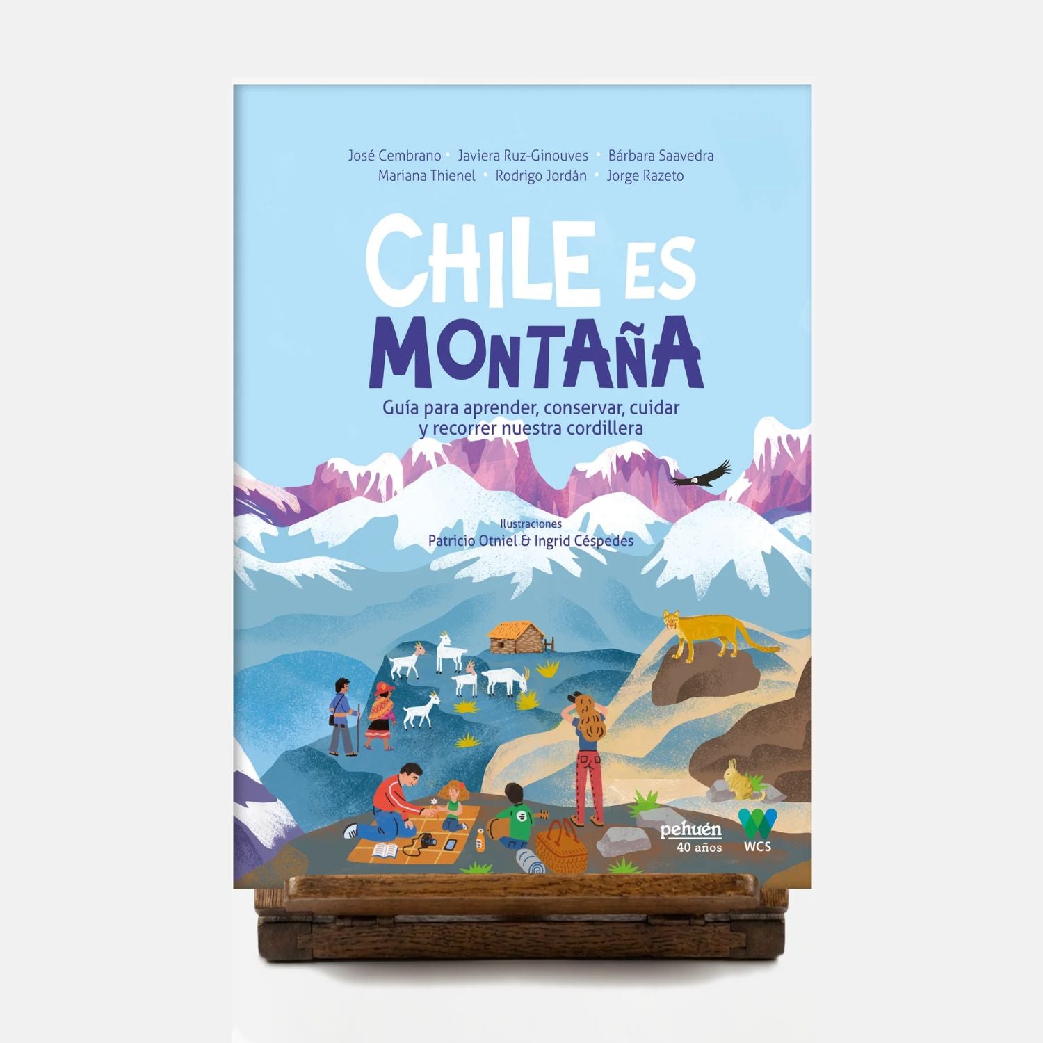 Chile es montaña