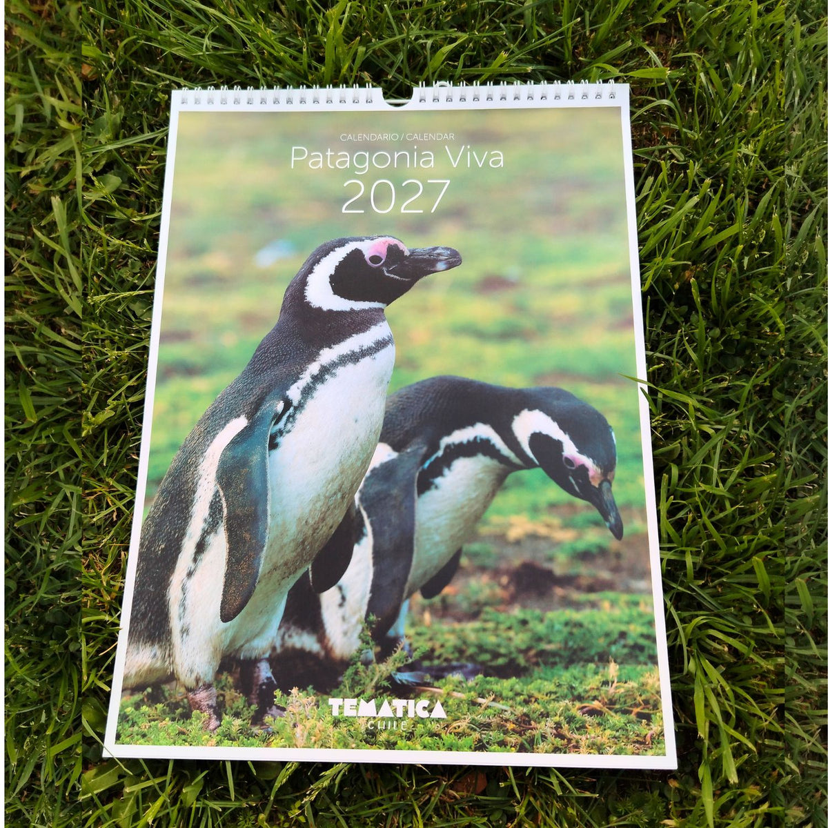 Calendario mural 2027 - Patagonia viva