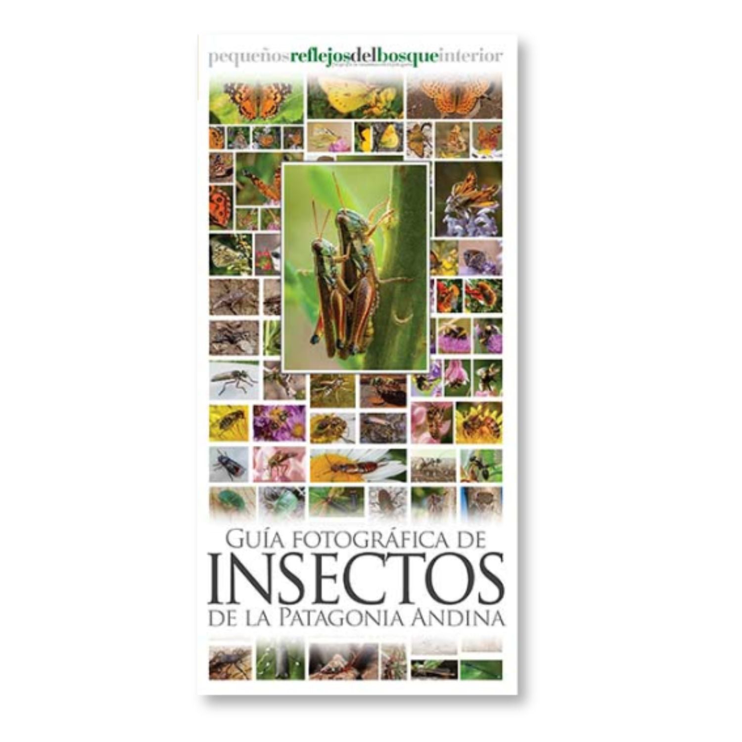Guía fotográfica de insectos de la Patagonia Andina
