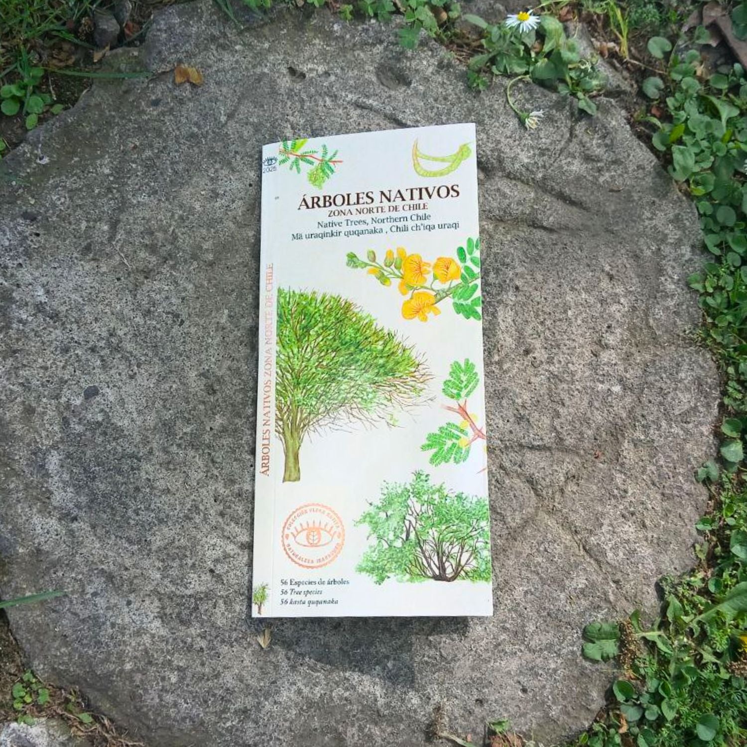 Guía de bolsillo - Árboles nativos zona norte de Chile