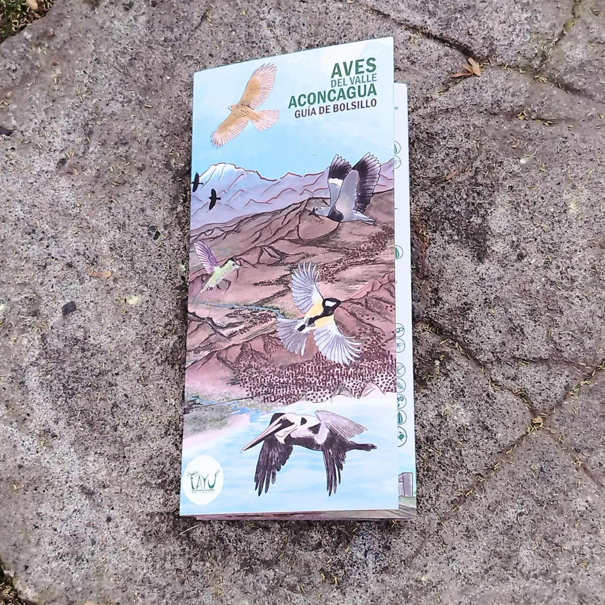 Guía de bolsillo - Aves del valle del Aconcagua