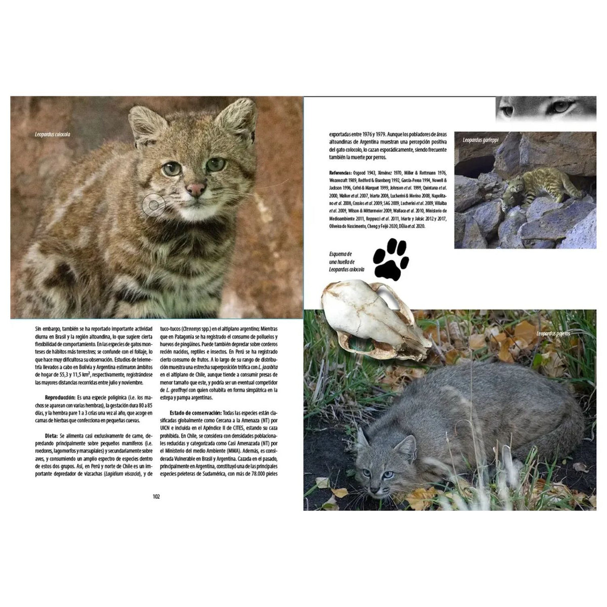 Los Carnívoros de Chile Tercera Edición (Tapa Dura)