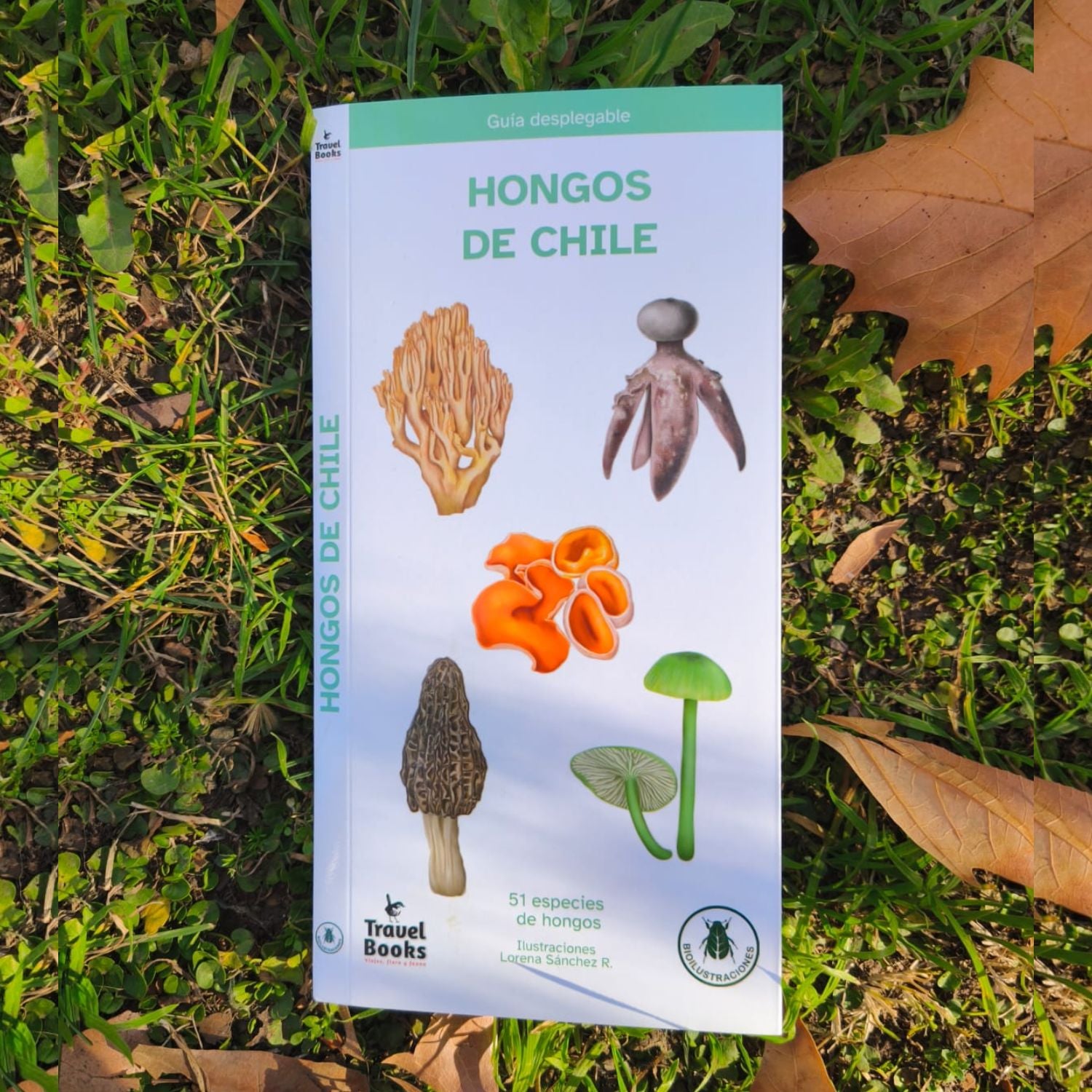 Guia de bolsillo -  Hongos de chile (51 especies)