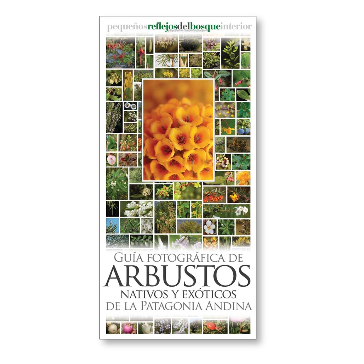 Guía fotográfica de plantas leñosas de la estepa patagónica
