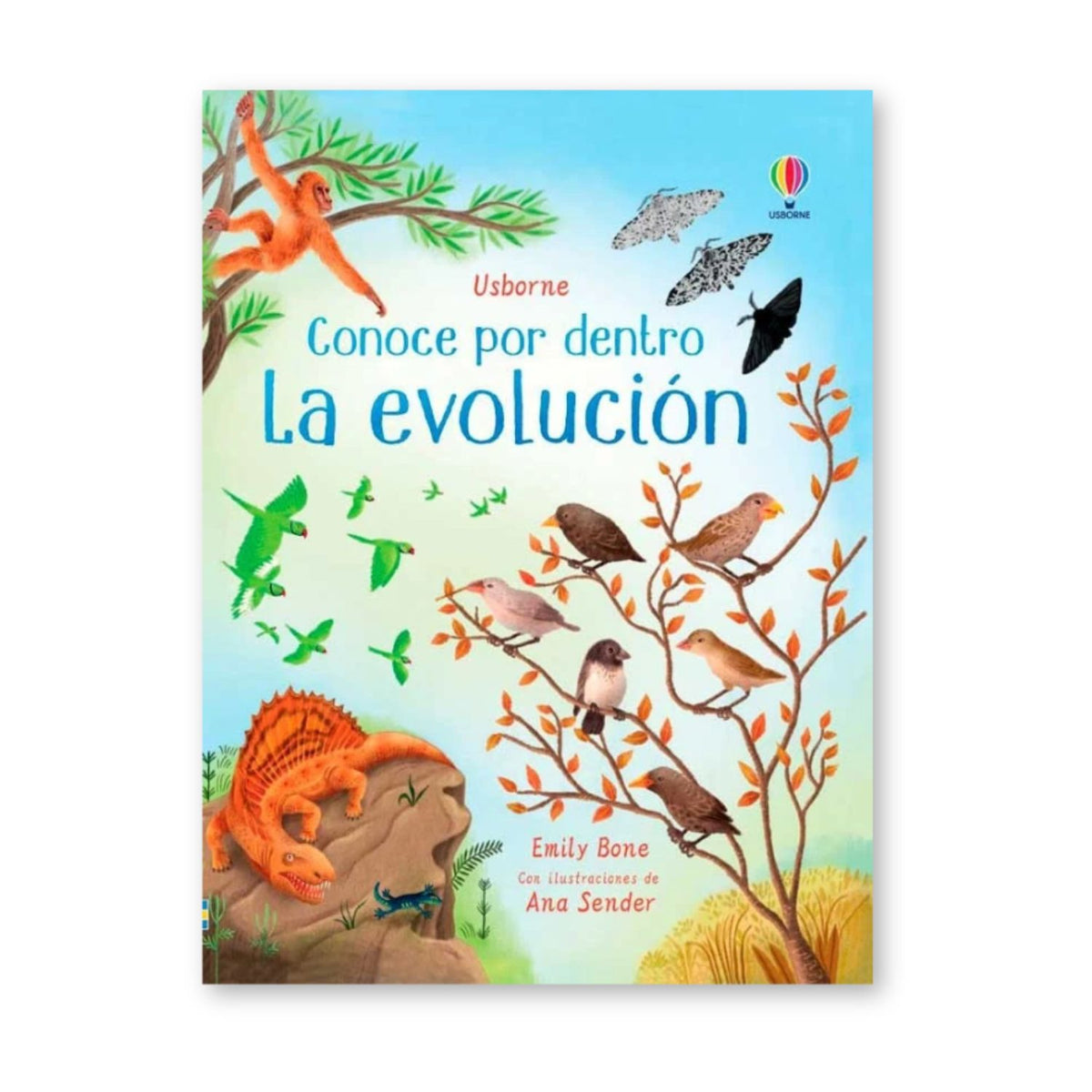 Conoce por dentro la evolución