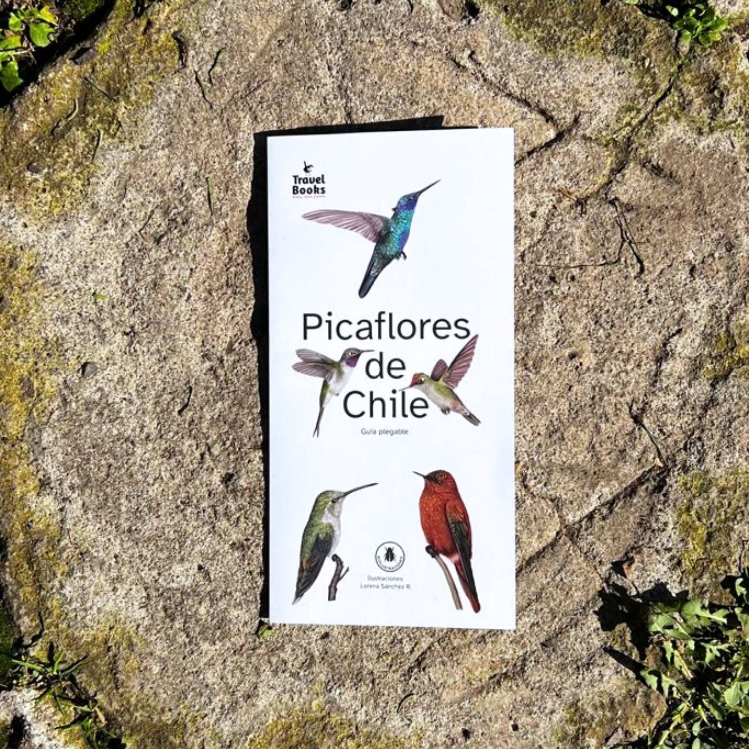 Guía de bolsillo - Picaflores de Chile